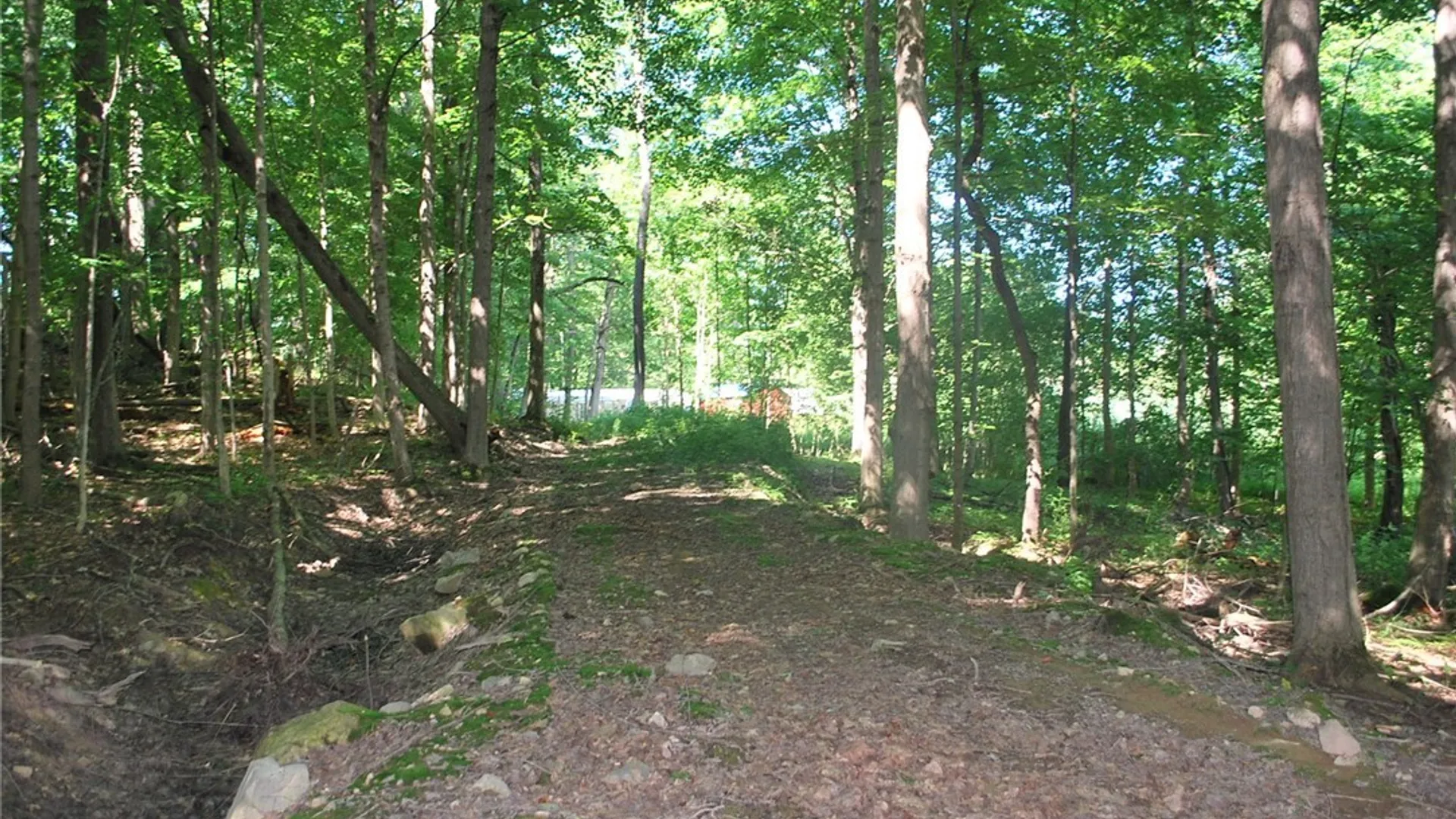 Property at 176 Ladd Road, Mexico, NY 13114 21