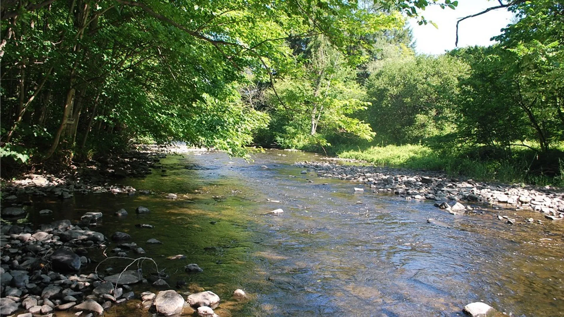 Property at 176 Ladd Road, Mexico, NY 13114 22