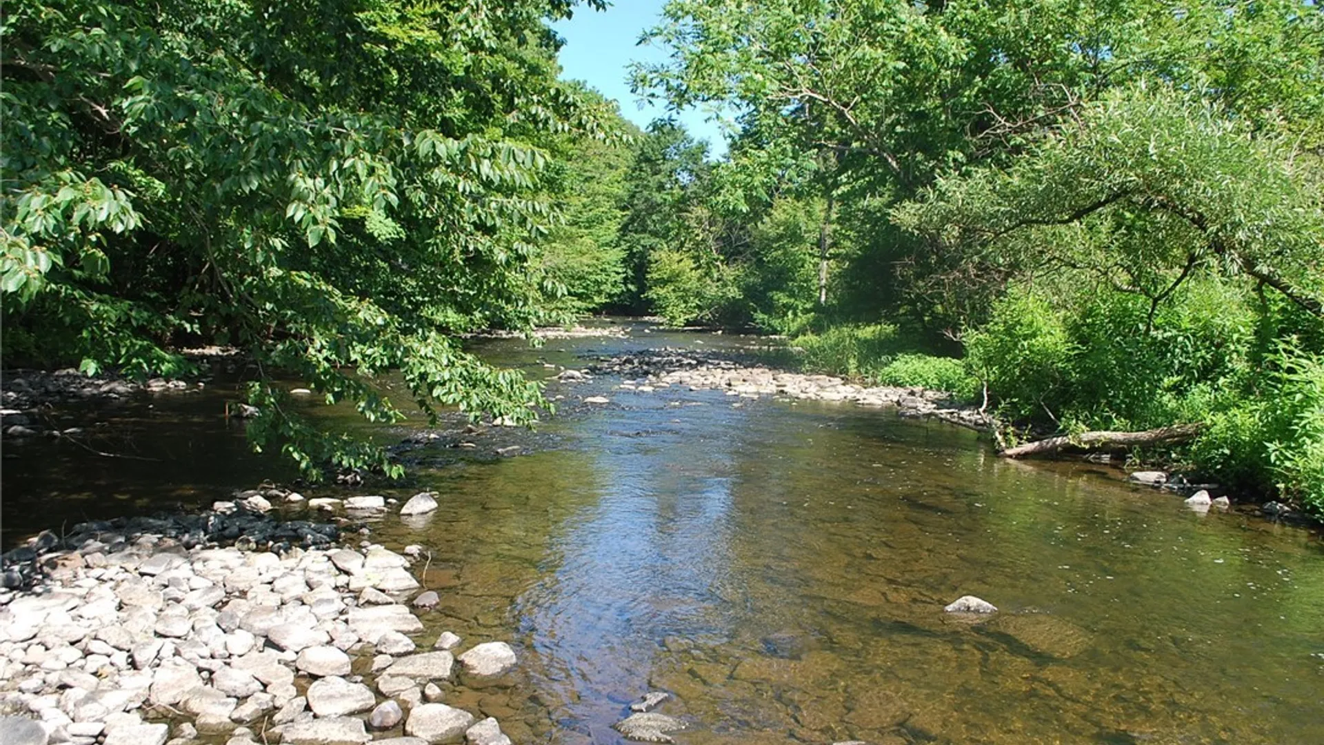 Property at 176 Ladd Road, Mexico, NY 13114 24