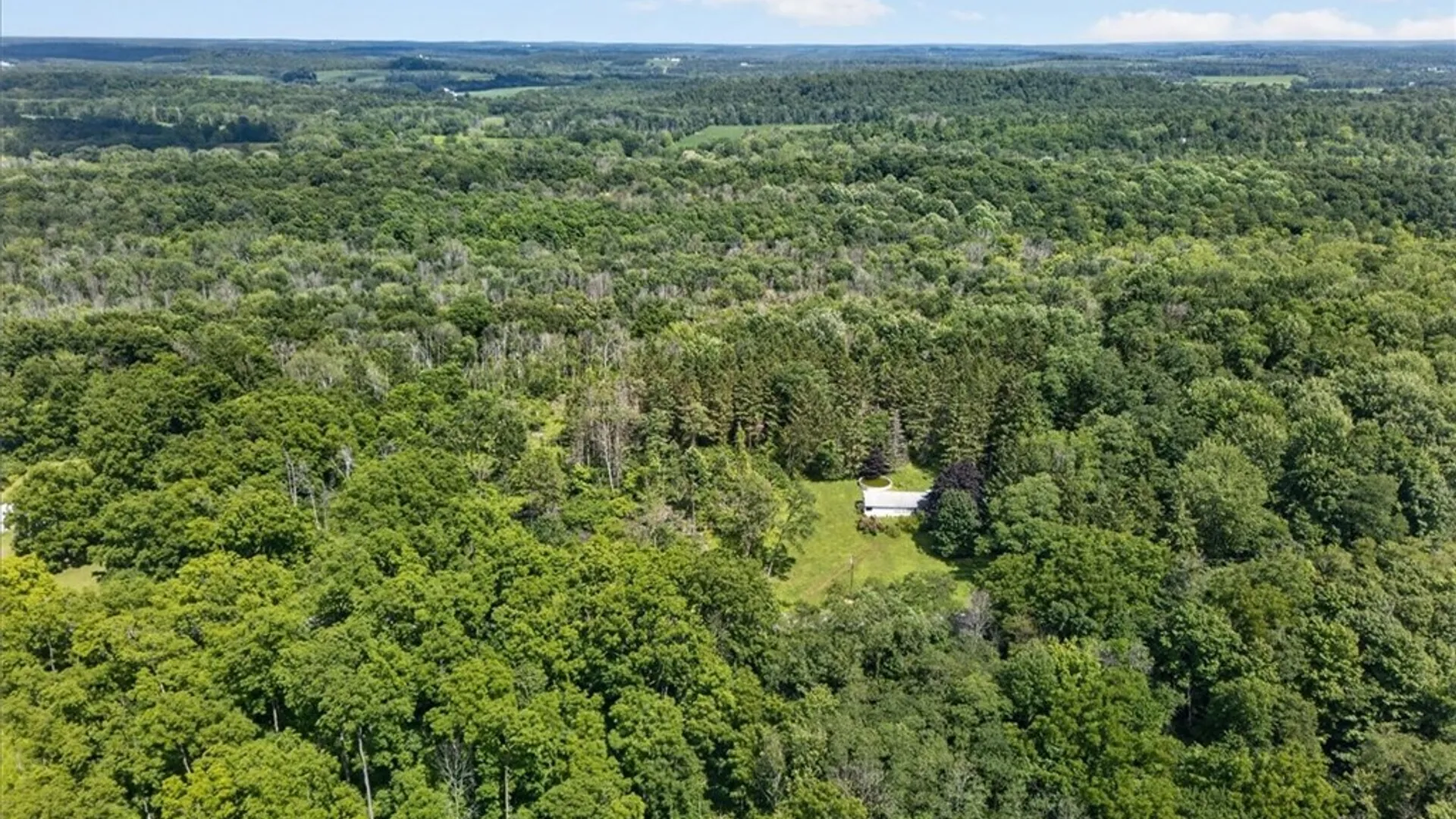 Property at 4190 Drury Road, Butler, NY 13146 9