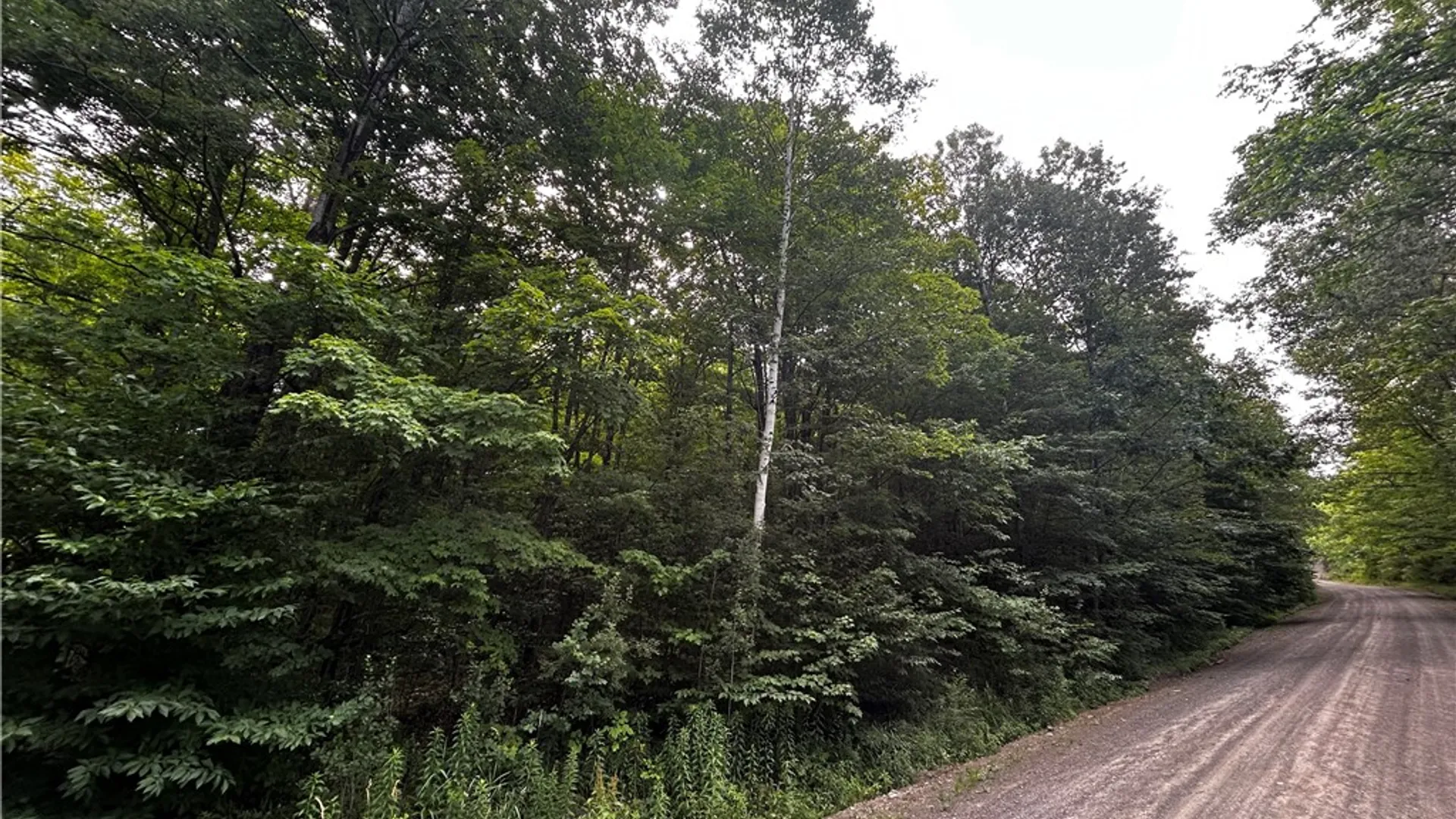 Property at Ivan Mereness Road, Decatur, NY 12197 8