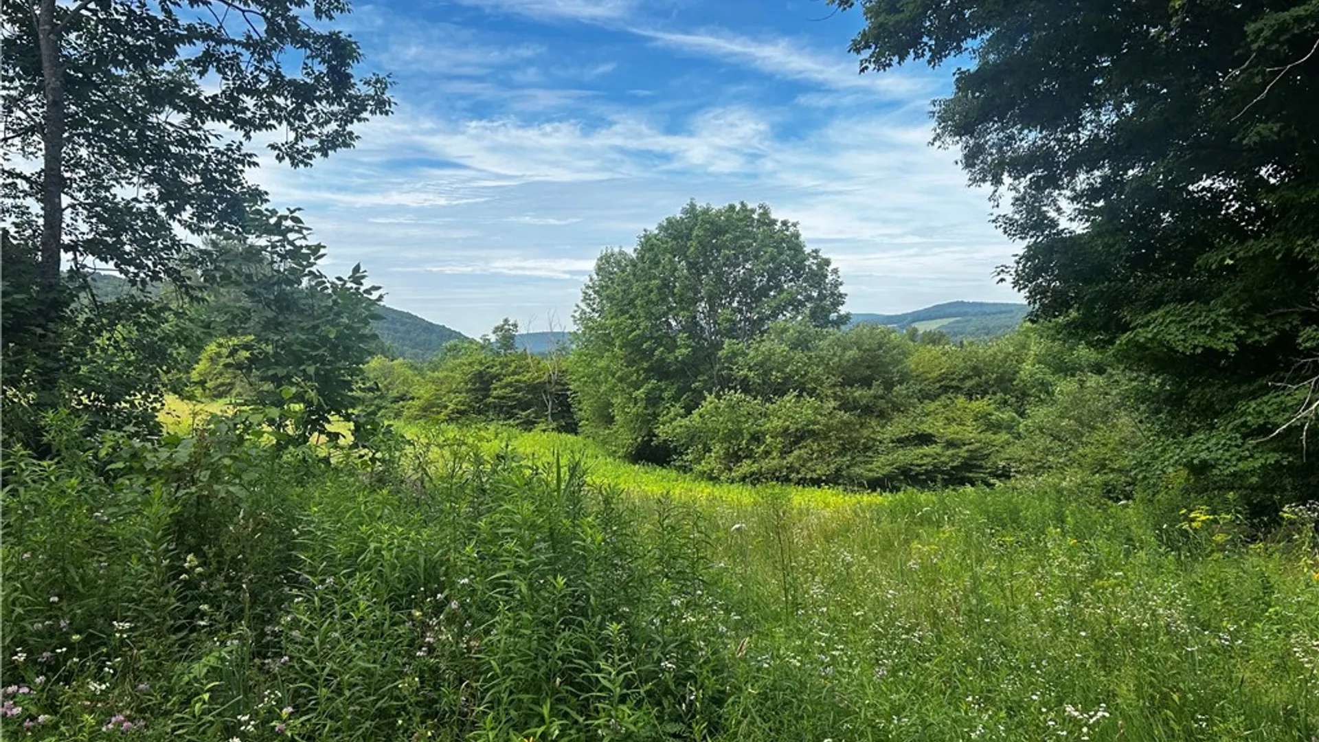 Property at Ivan Mereness Road, Decatur, NY 12197 2
