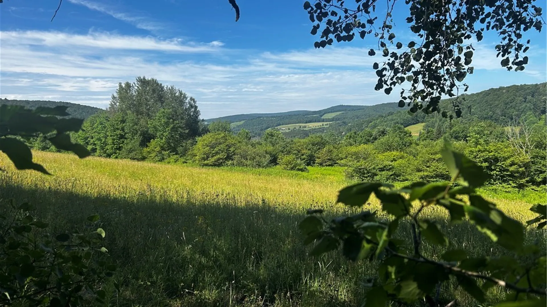 Property at Ivan Mereness Road, Decatur, NY 12197 10