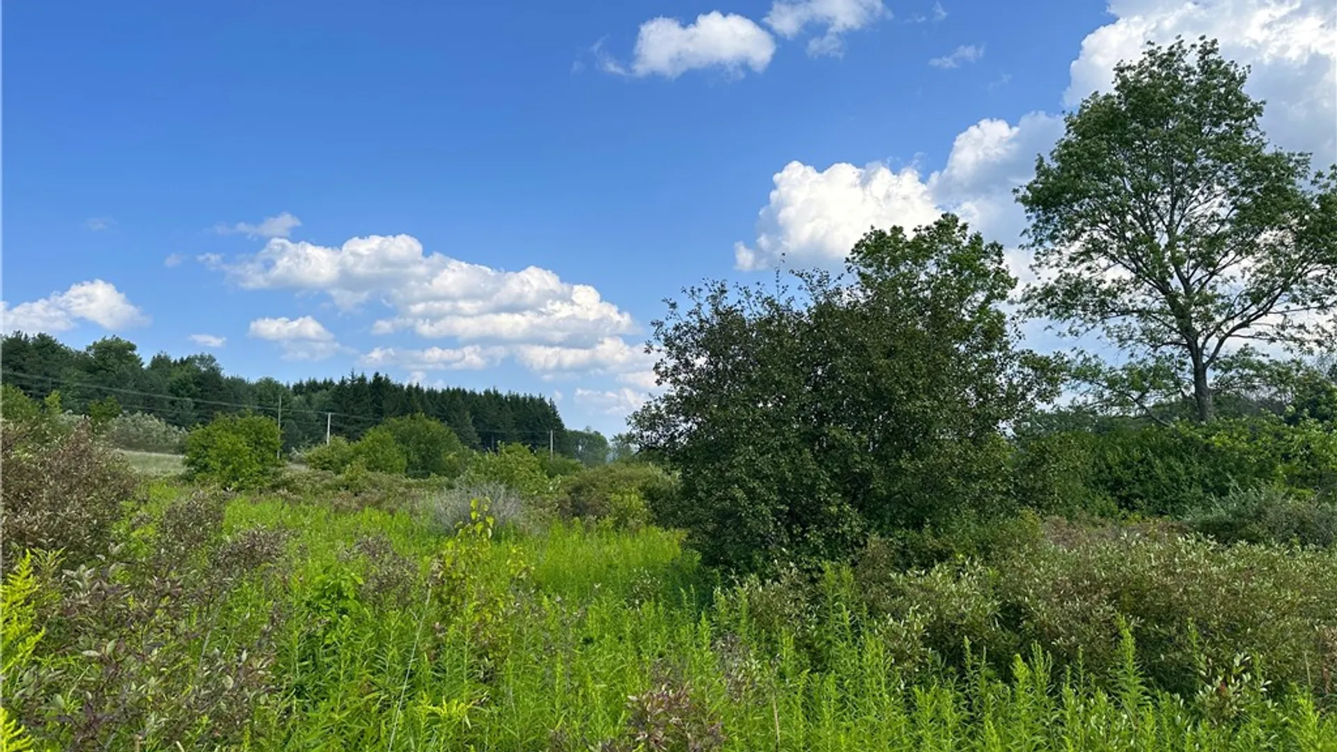 Property at 0 Cr-17, Friendship, NY 14739 5
