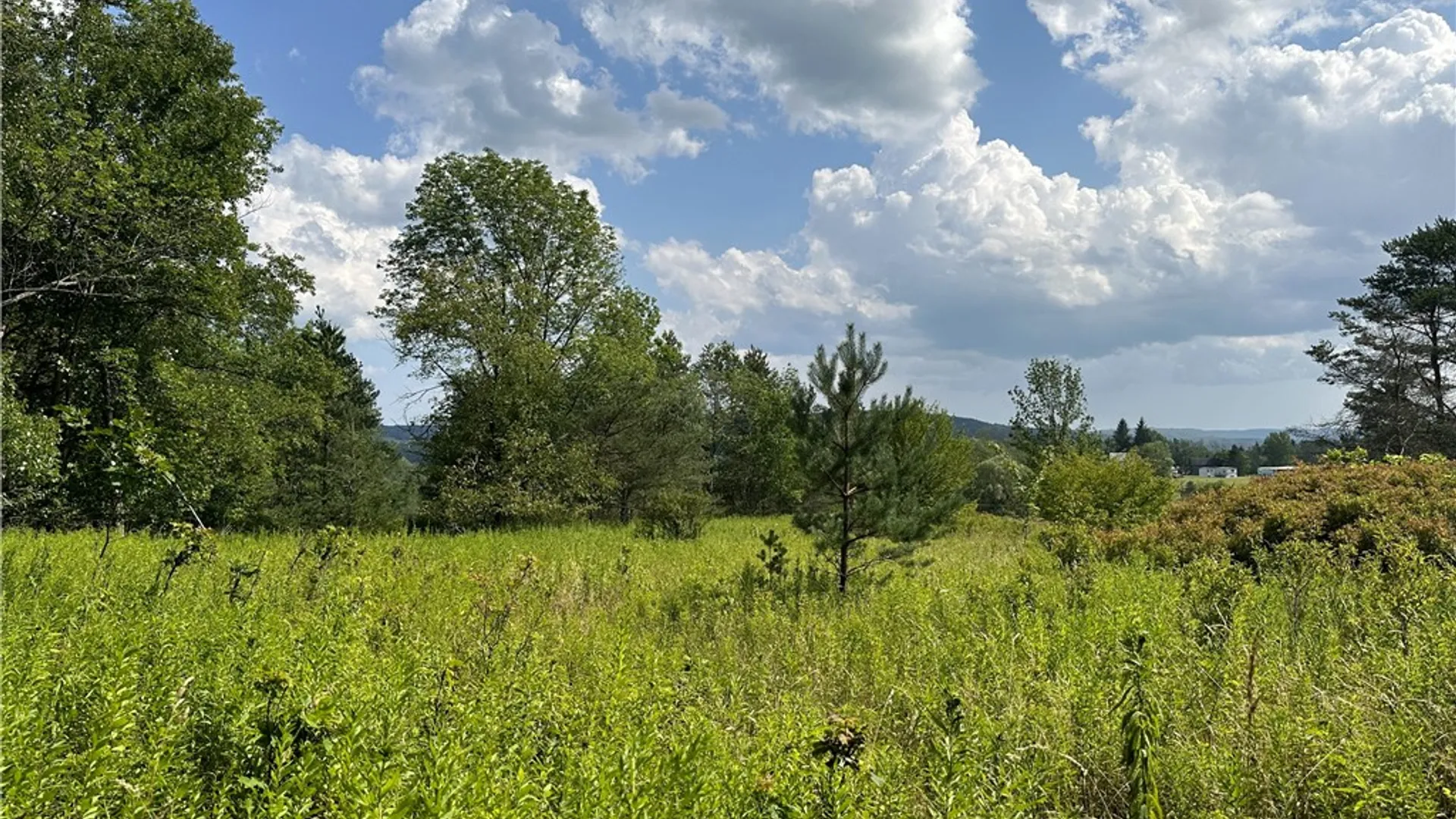 Property at 0 Cr-17, Friendship, NY 14739 7