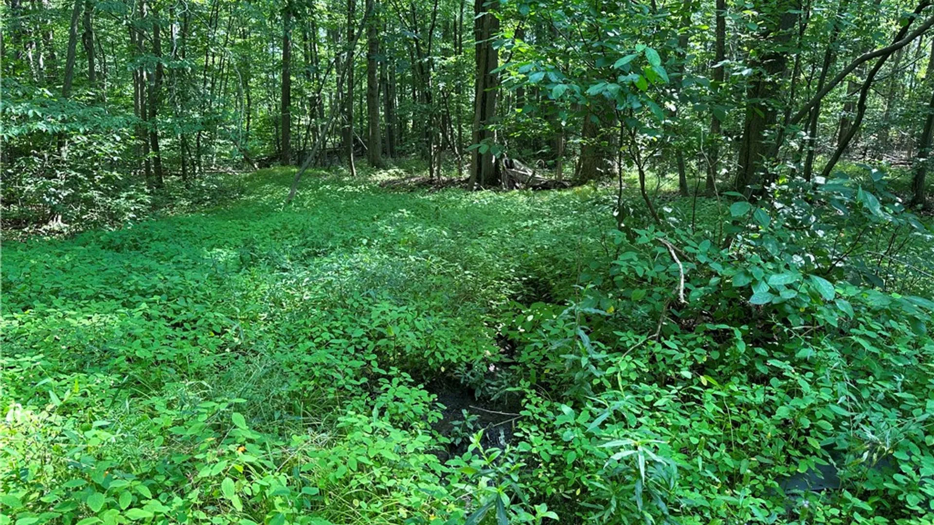 Property at 0 Cr-17, Friendship, NY 14739 32