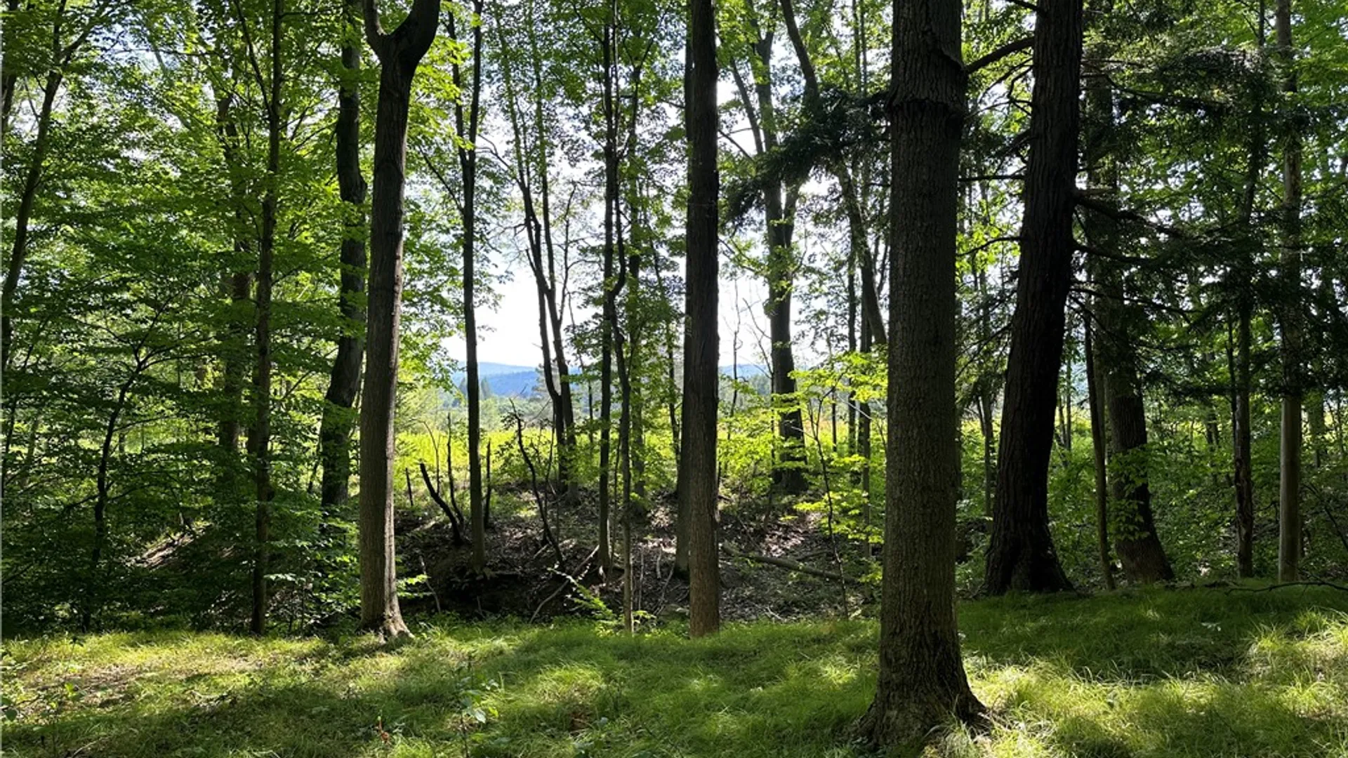 Property at 0 Cr-17, Friendship, NY 14739 17