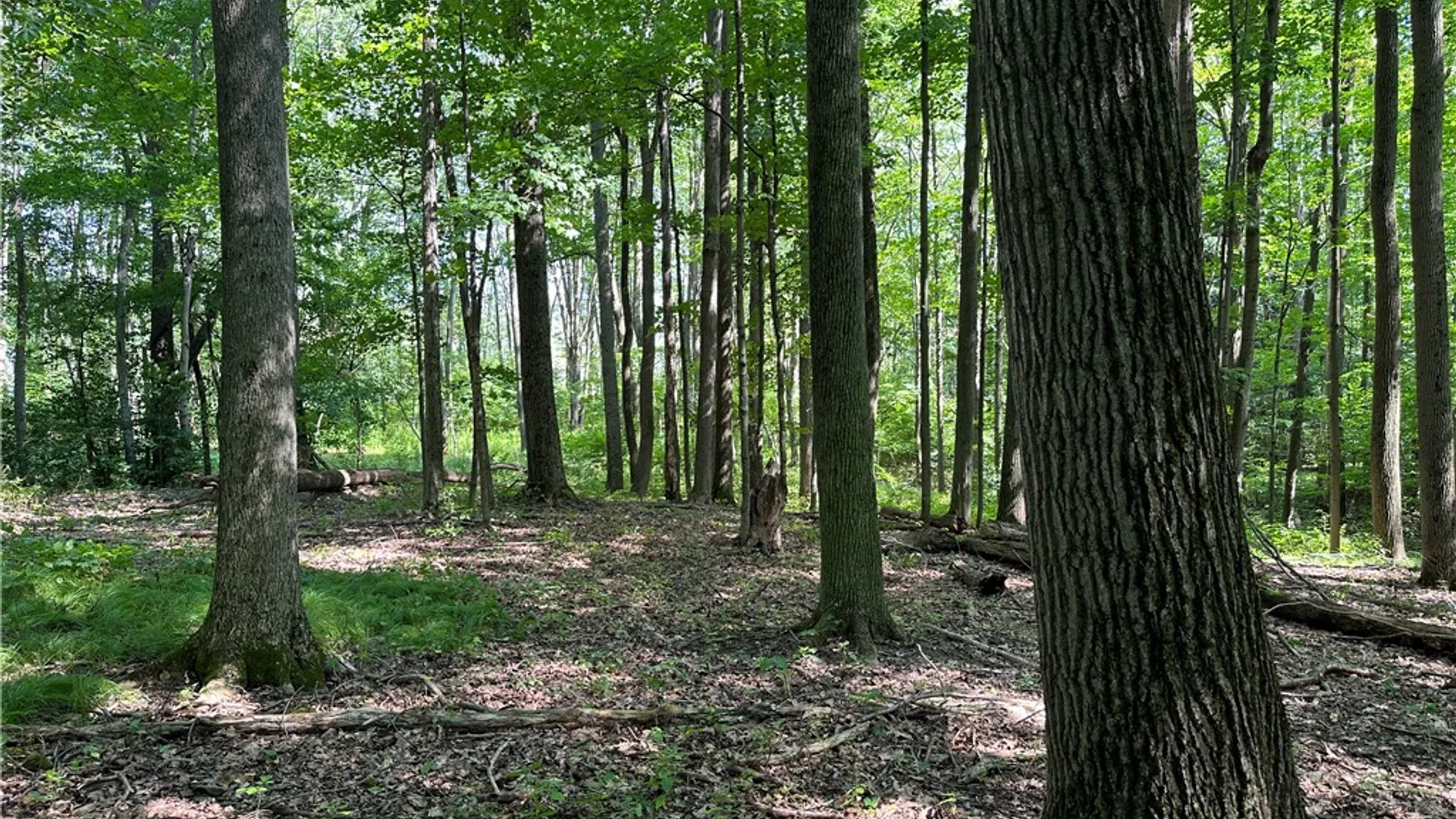Property at 0 Cr-17, Friendship, NY 14739 18