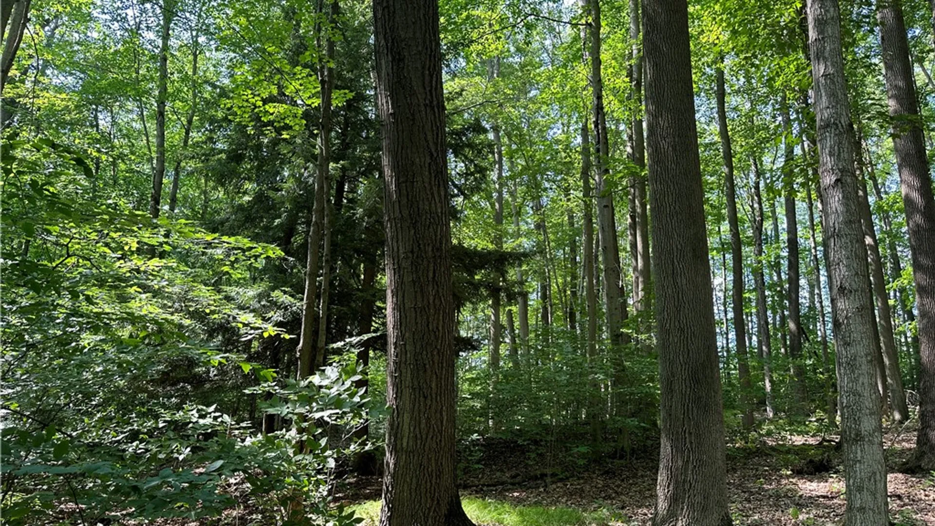 Property at 0 Cr-17, Friendship, NY 14739 19