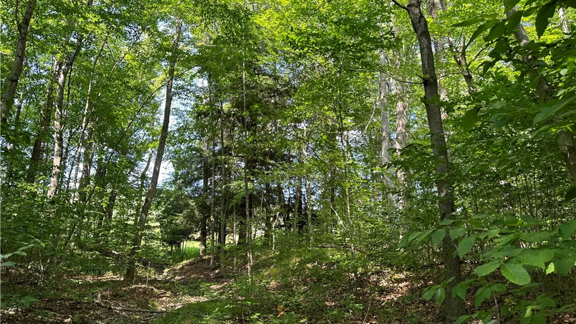 Property at 0 Cr-17, Friendship, NY 14739 24