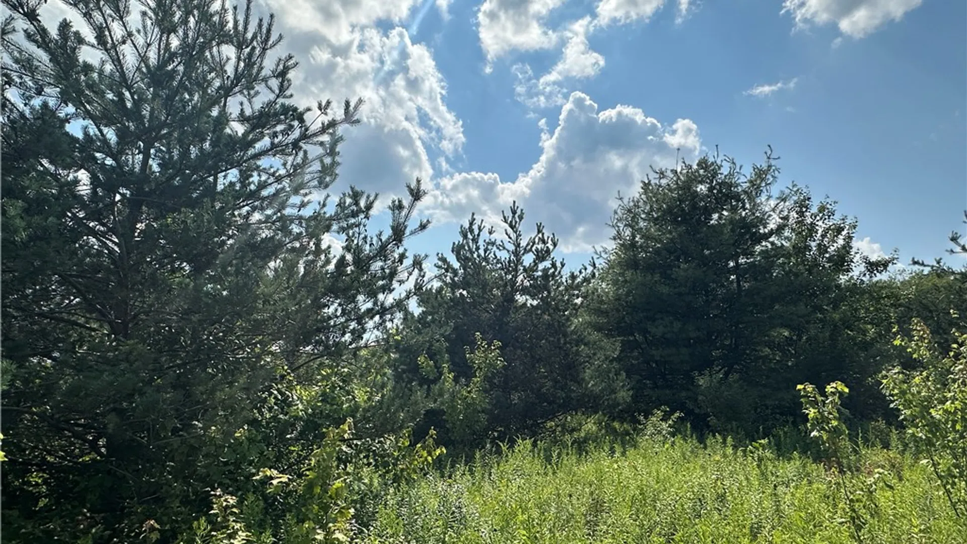 Property at 0 Cr-17, Friendship, NY 14739 26