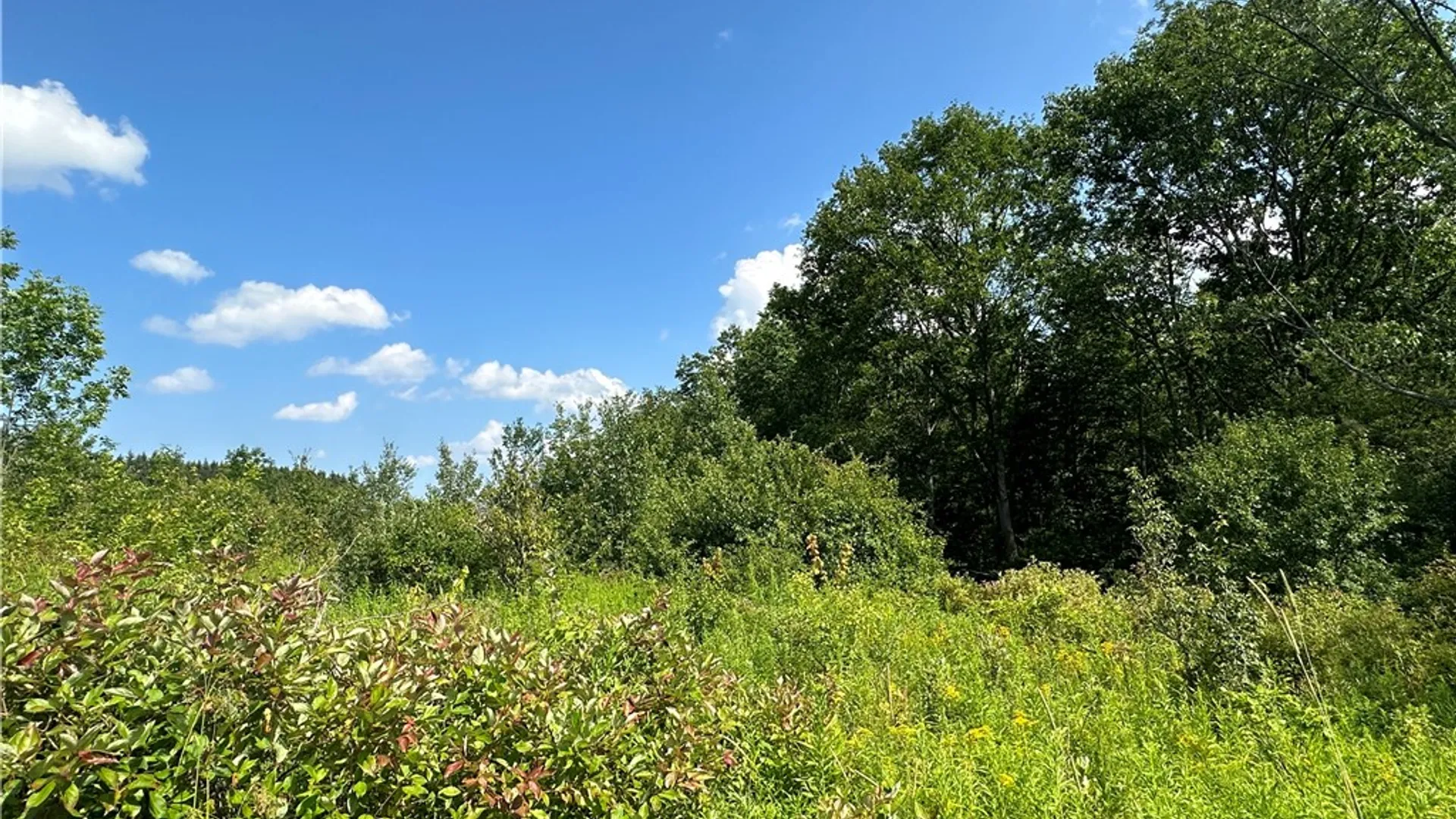 Property at 0 Cr-17, Friendship, NY 14739 27