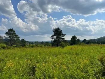 Property at 0 Cr-17, Friendship, NY 14739