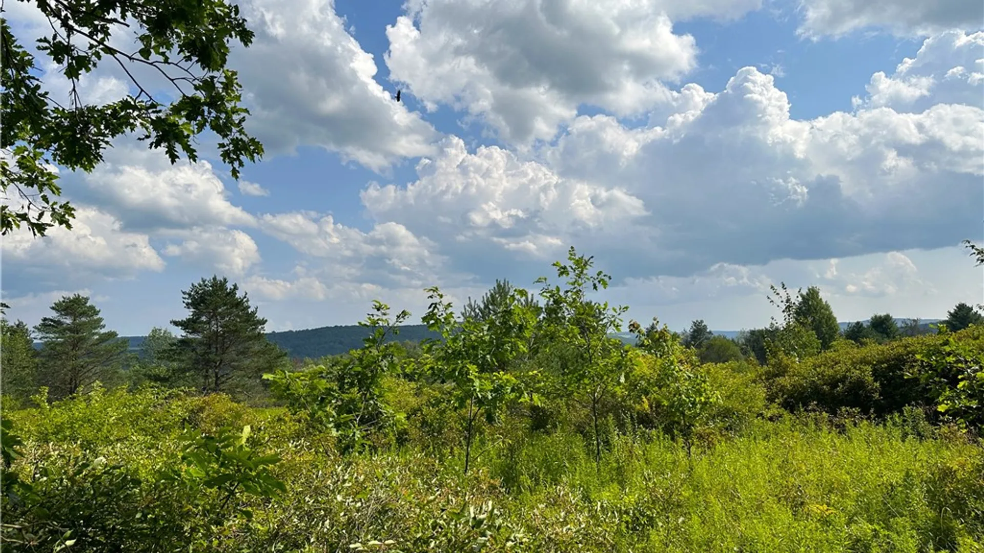 Property at 0 Cr-17, Friendship, NY 14739 2