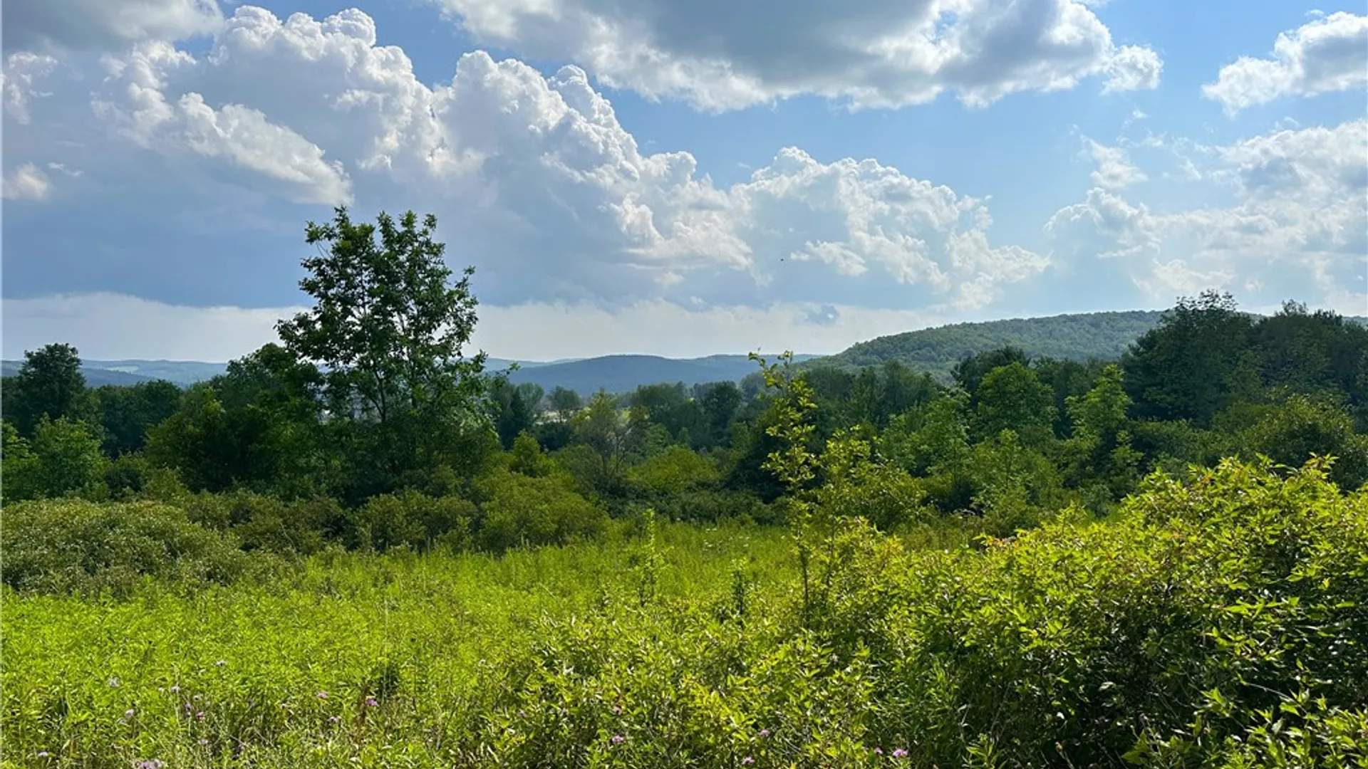 Property at 0 Cr-17, Friendship, NY 14739 3