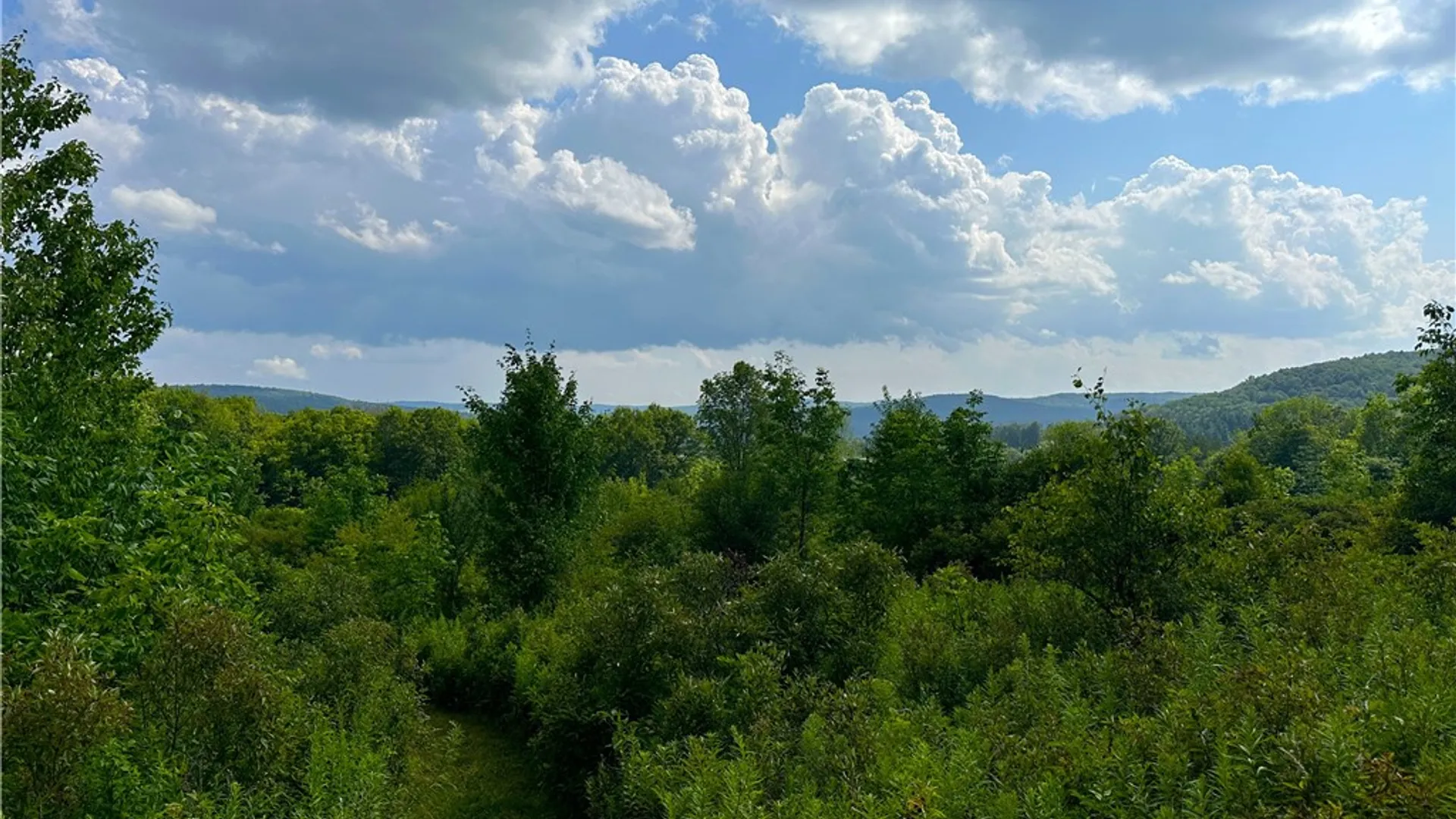 Property at 0 Cr-17, Friendship, NY 14739 4