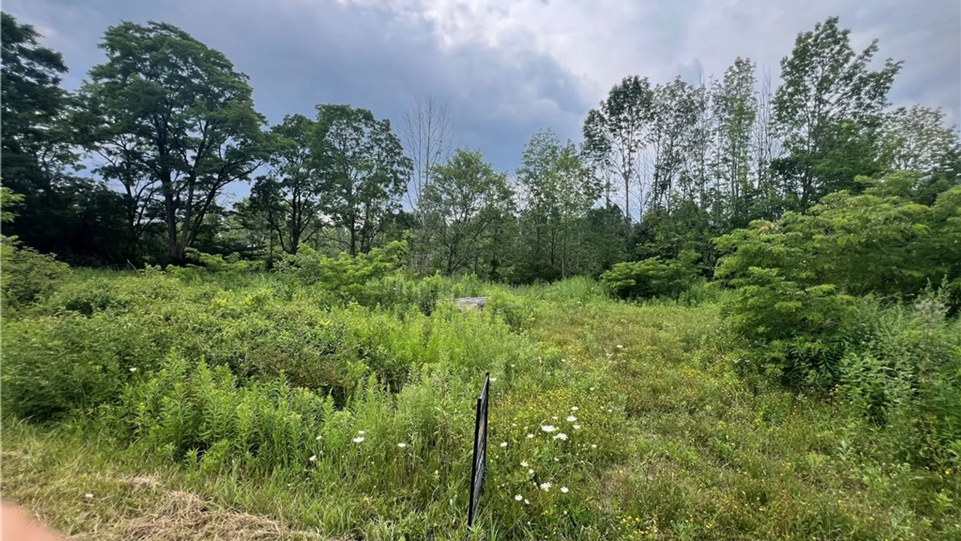 Property at Town Line Road, Ellery, NY 14701 8