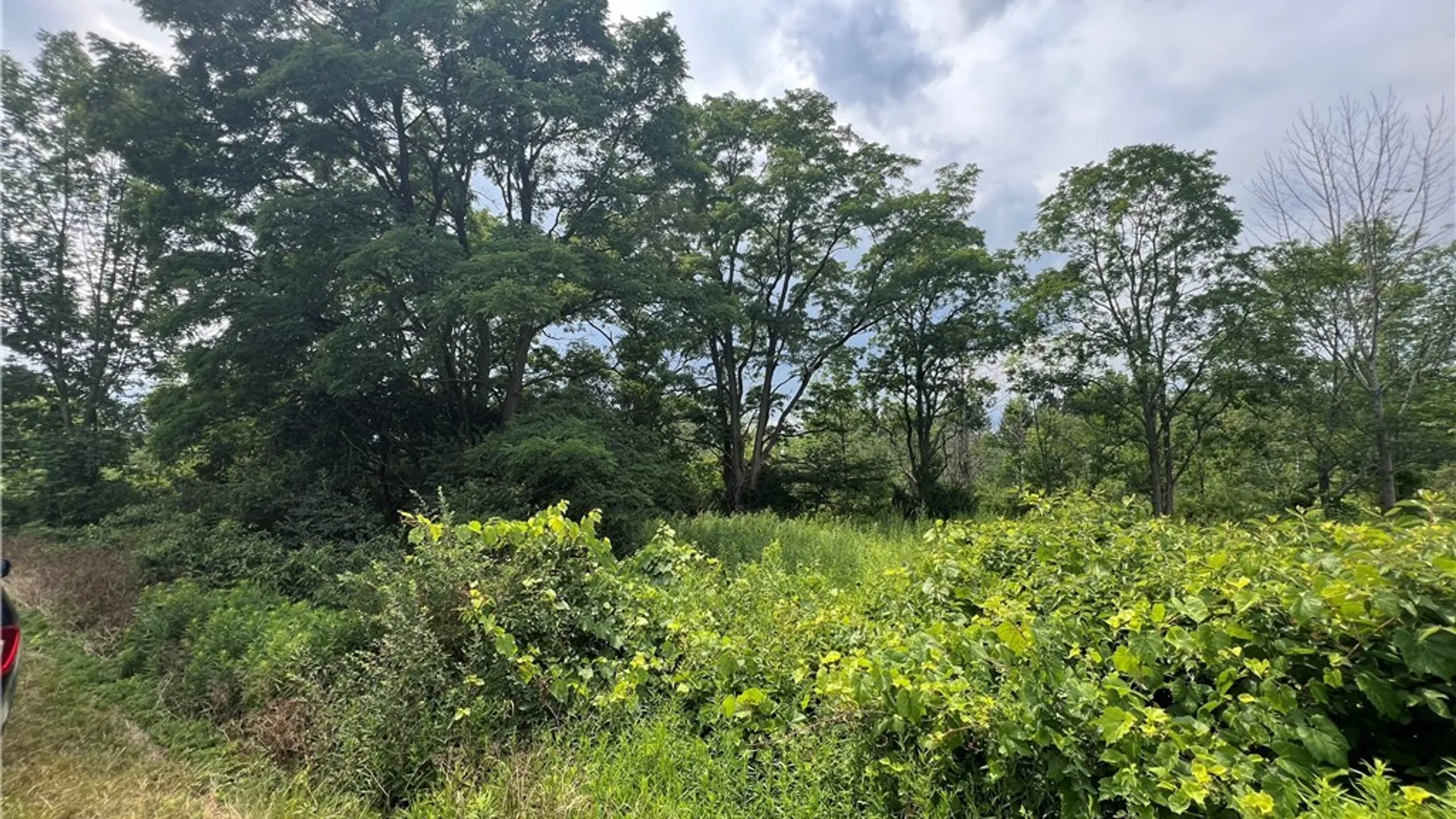 Property at Town Line Road, Ellery, NY 14701 9