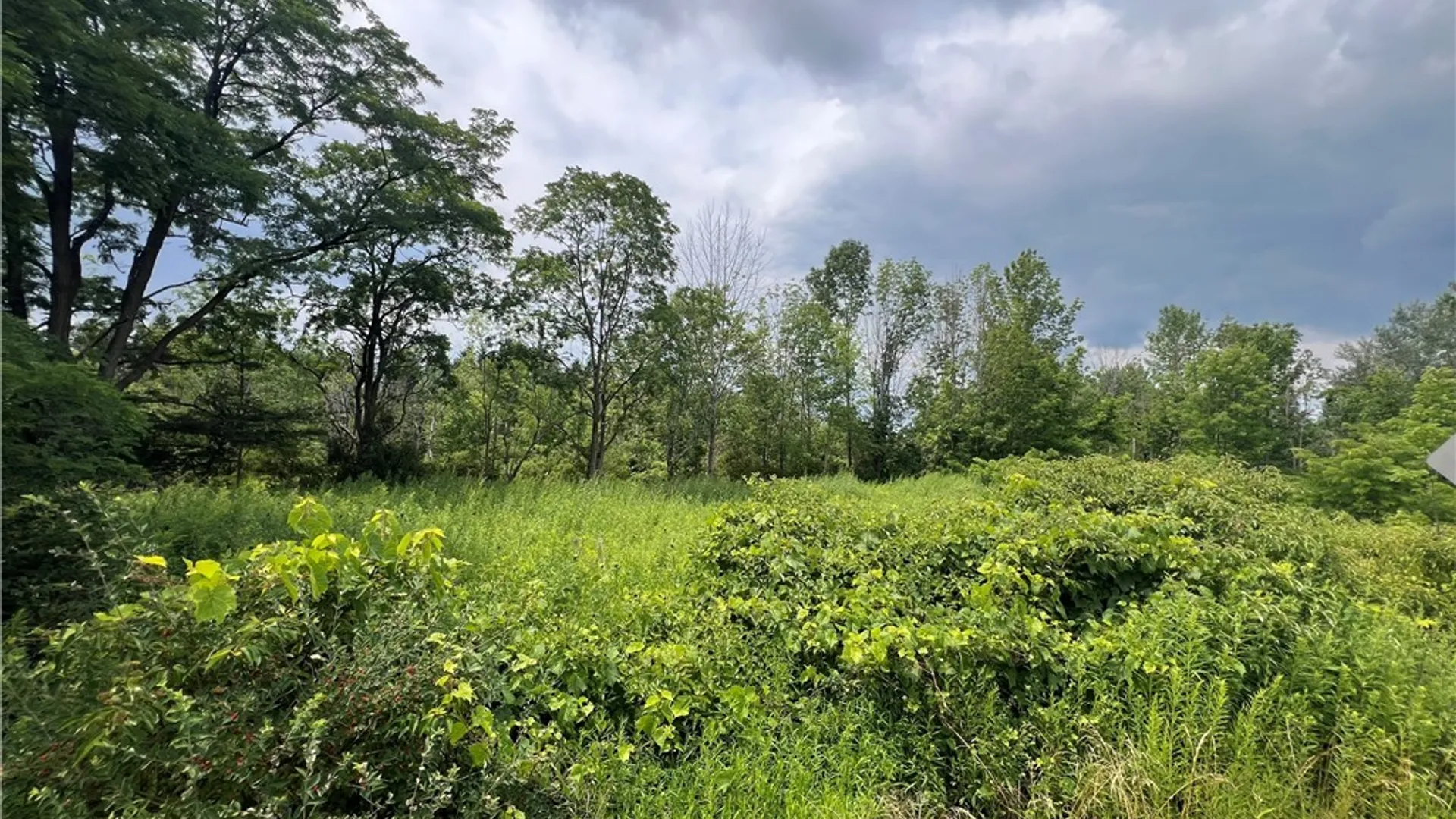 Property at Town Line Road, Ellery, NY 14701 10