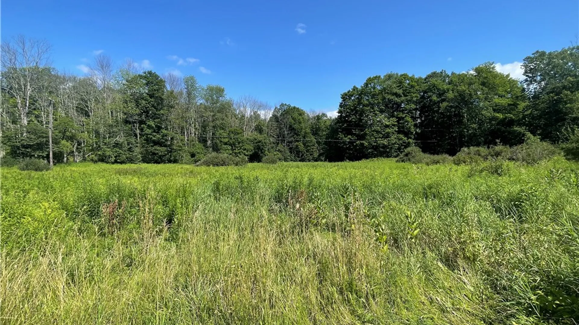 Property at 1123 Hoben Road, Oxford, NY 13830 11