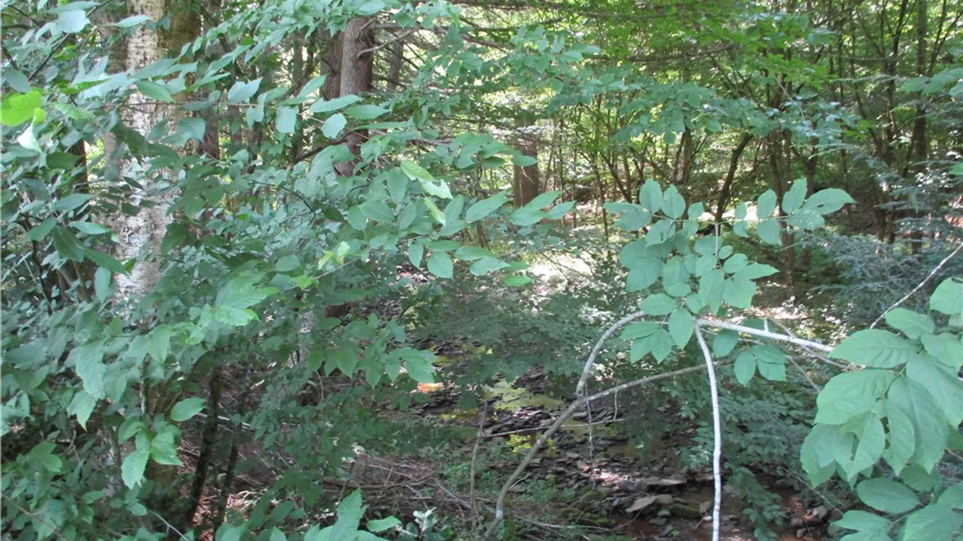 Property at 1551 County Highway 3, Butternuts, NY 13776 17