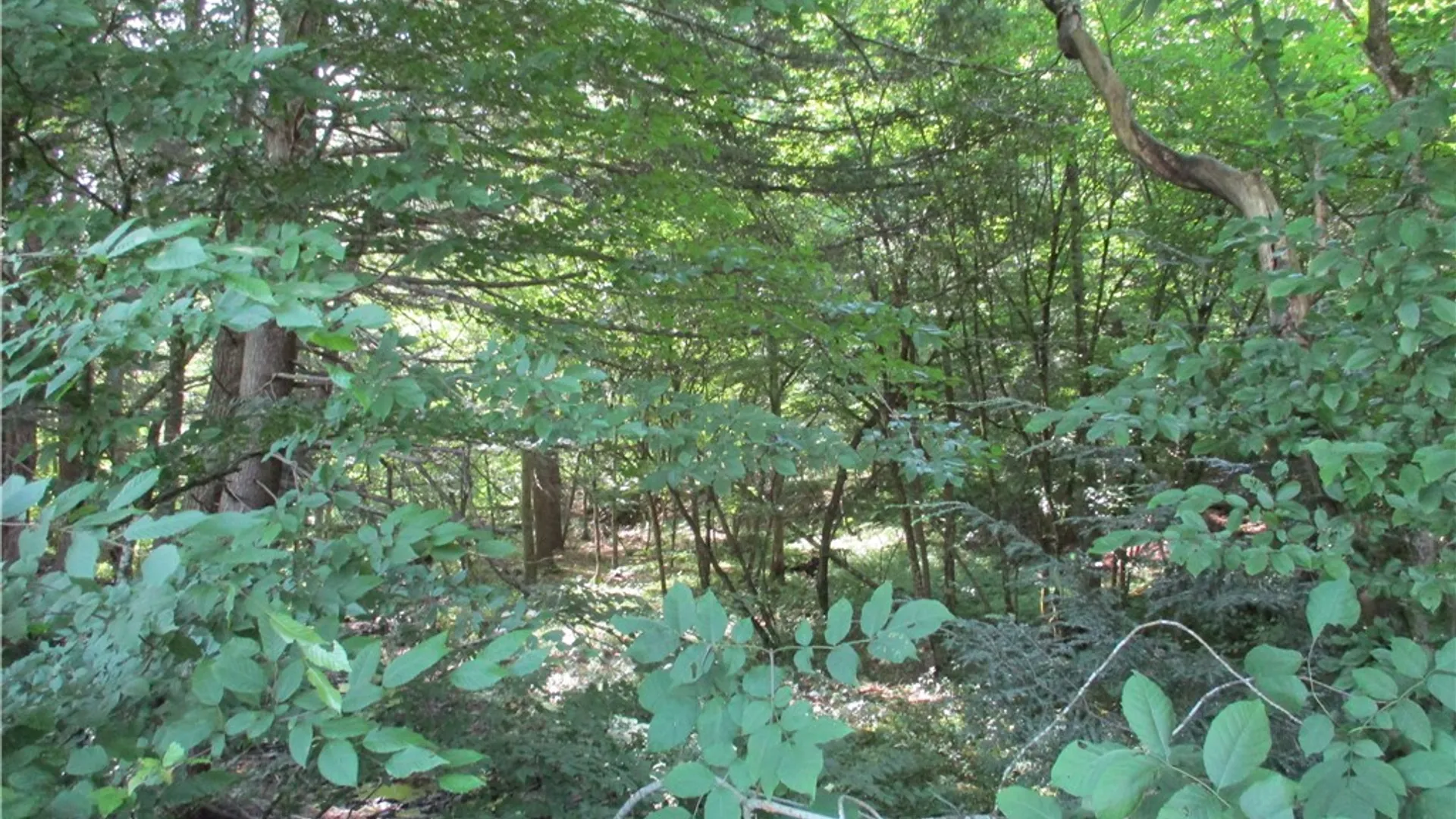 Property at 1551 County Highway 3, Butternuts, NY 13776 18