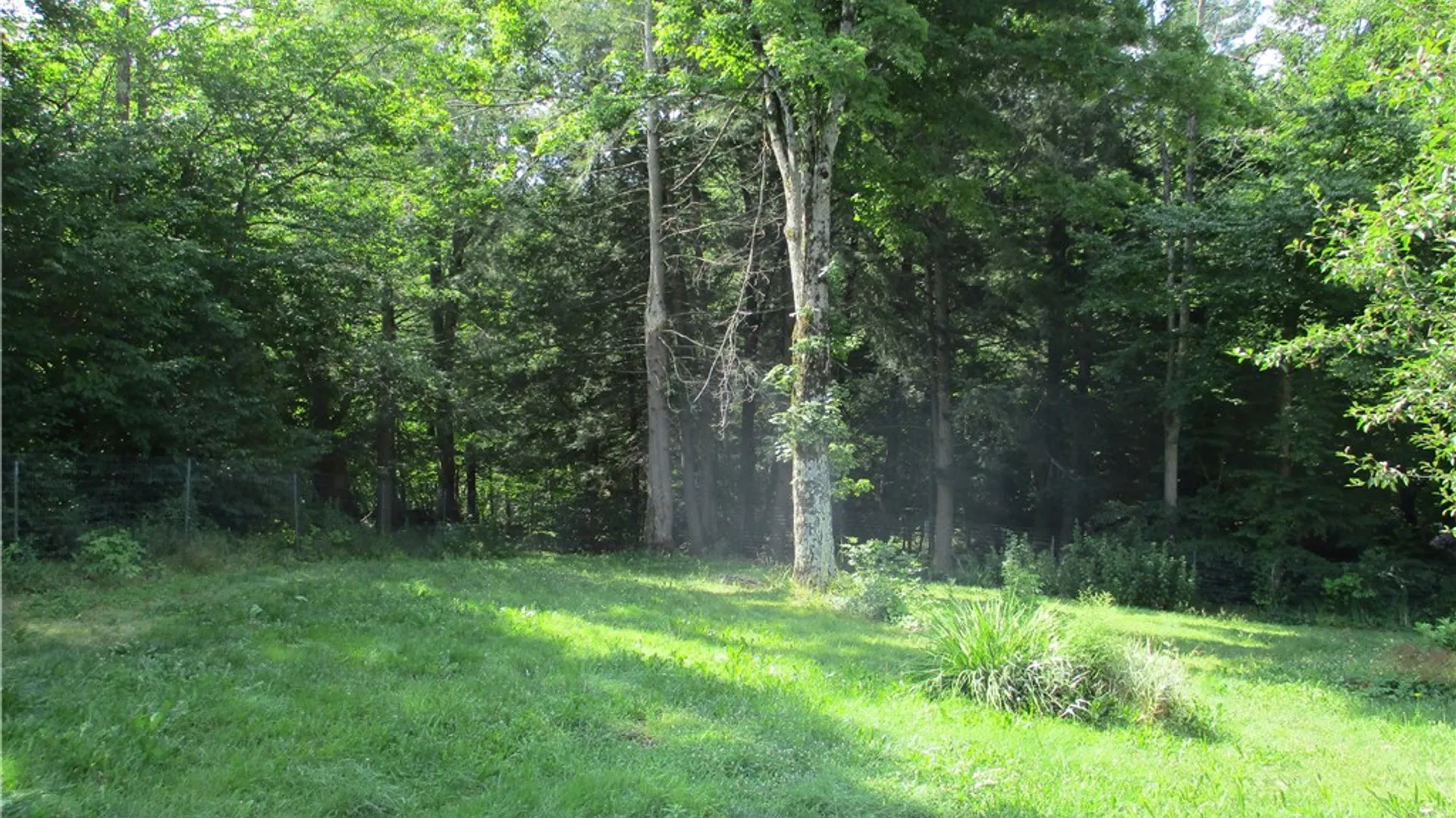 Property at 1551 County Highway 3, Butternuts, NY 13776 25