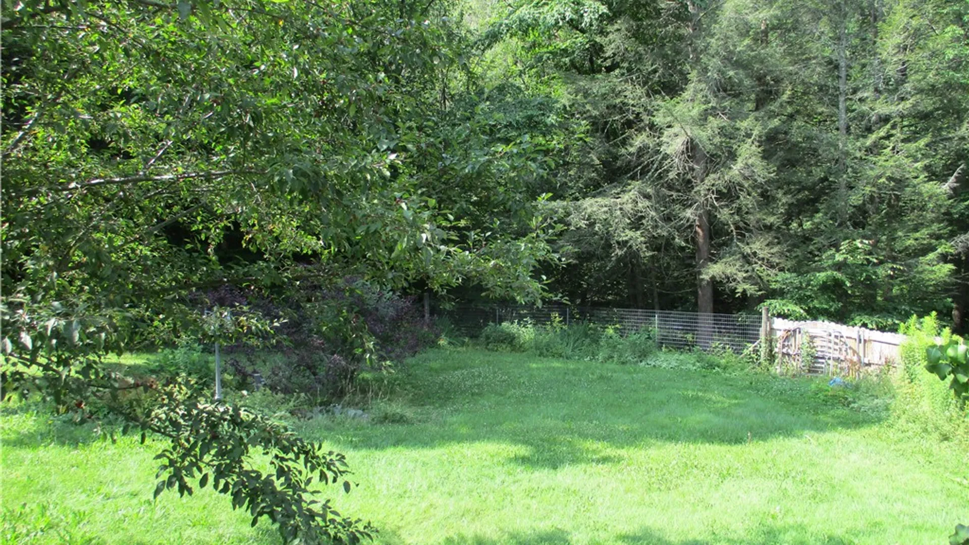 Property at 1551 County Highway 3, Butternuts, NY 13776 26