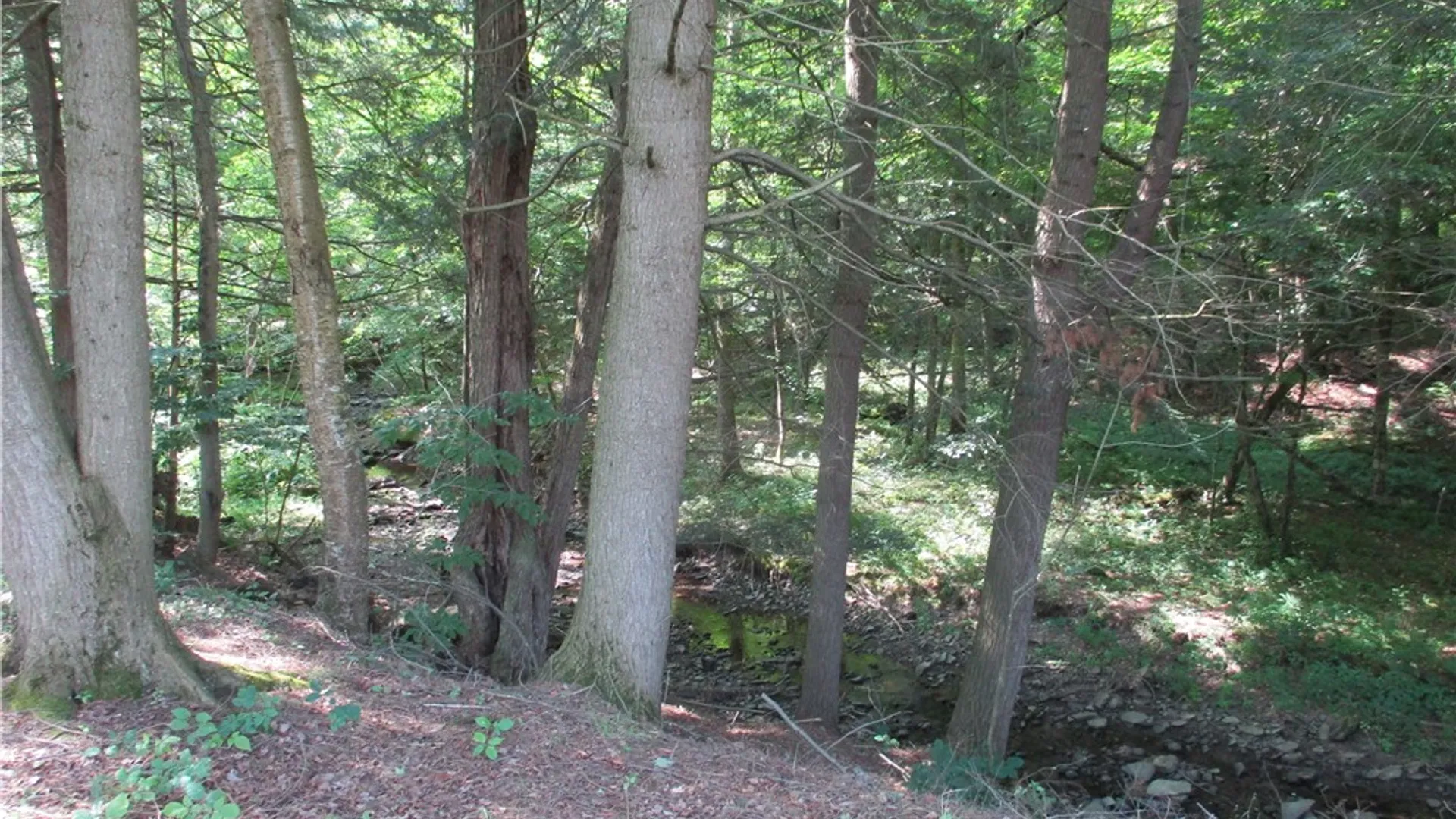 Property at 1551 County Highway 3, Butternuts, NY 13776 27