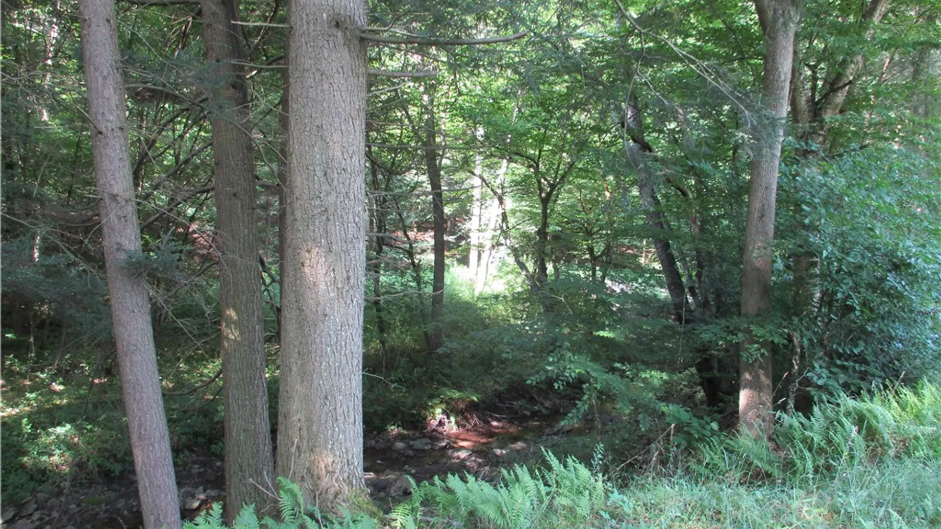 Property at 1551 County Highway 3, Butternuts, NY 13776 28