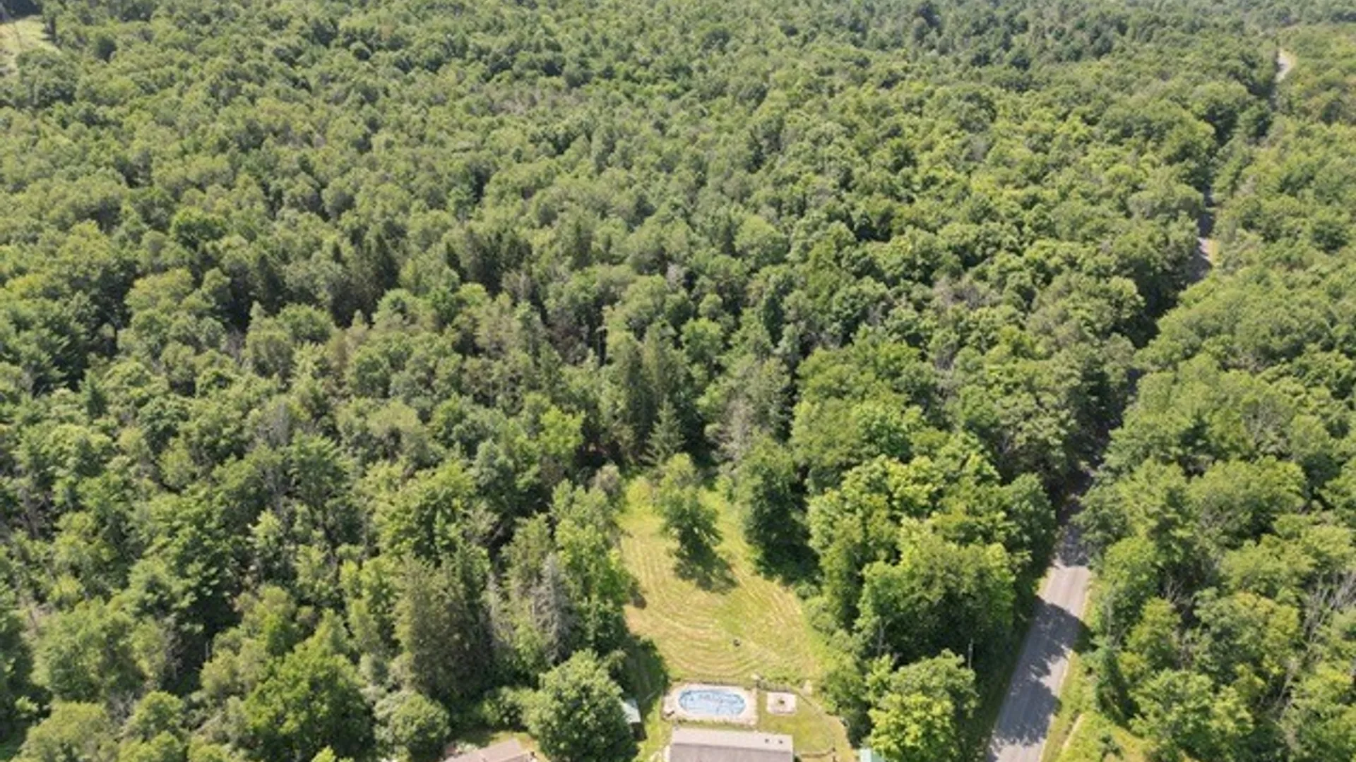 Property at 116 Brickhouse Road, Veteran, NY 14845 47