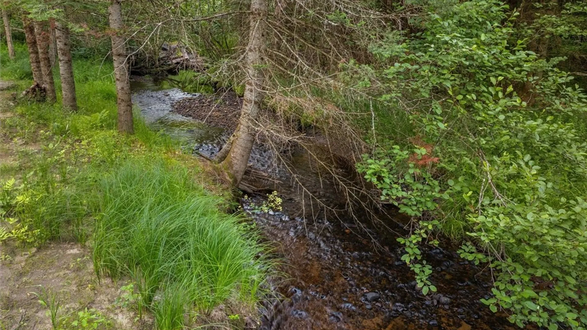 Property at 10958 Camp Ground Road, Forestport, NY 13338 24