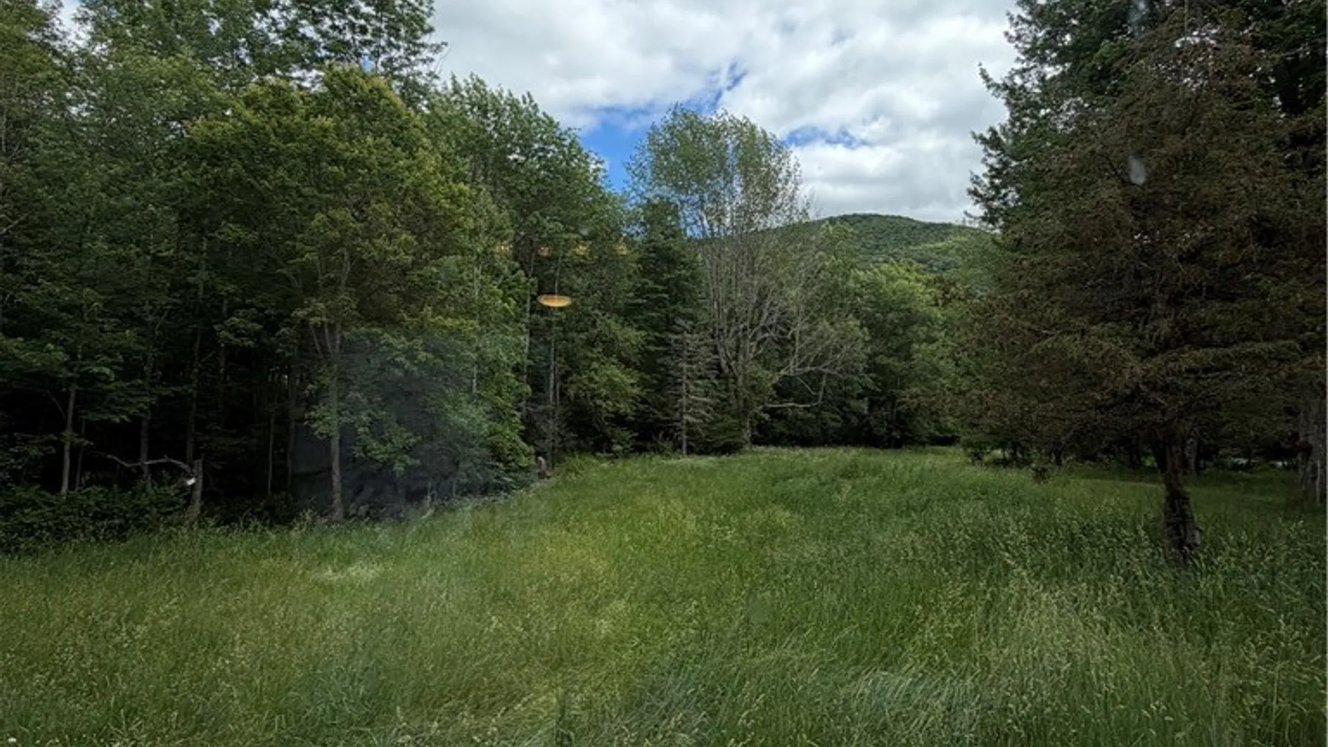 Property at 349 Bed Holw Road, Roxbury, NY 12474 16