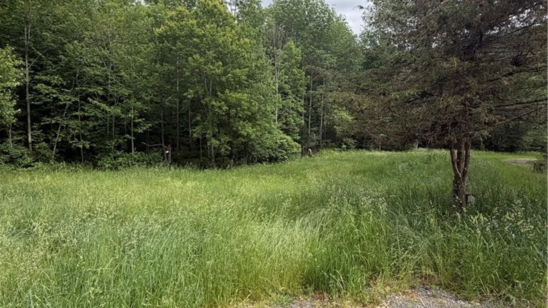Property at 349 Bed Holw Road, Roxbury, NY 12474 30