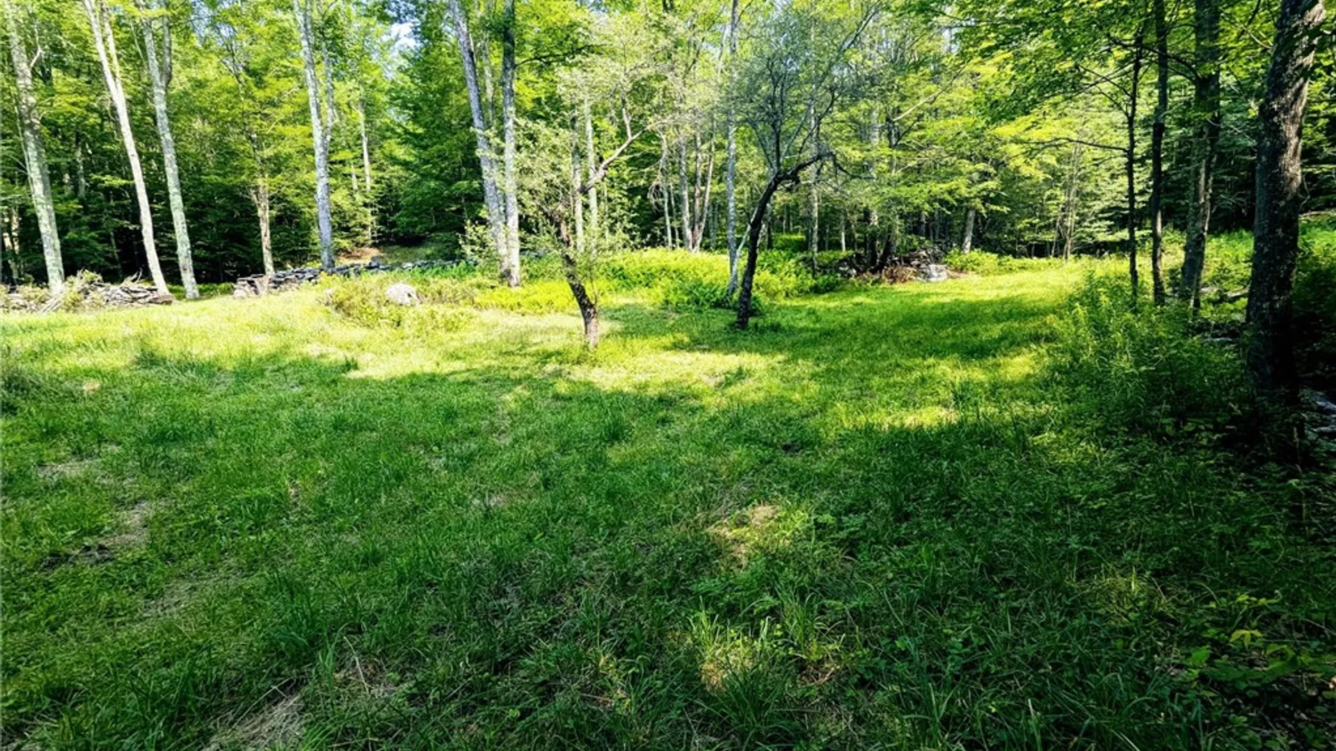 Property at 349 Bed Holw Road, Roxbury, NY 12474 43