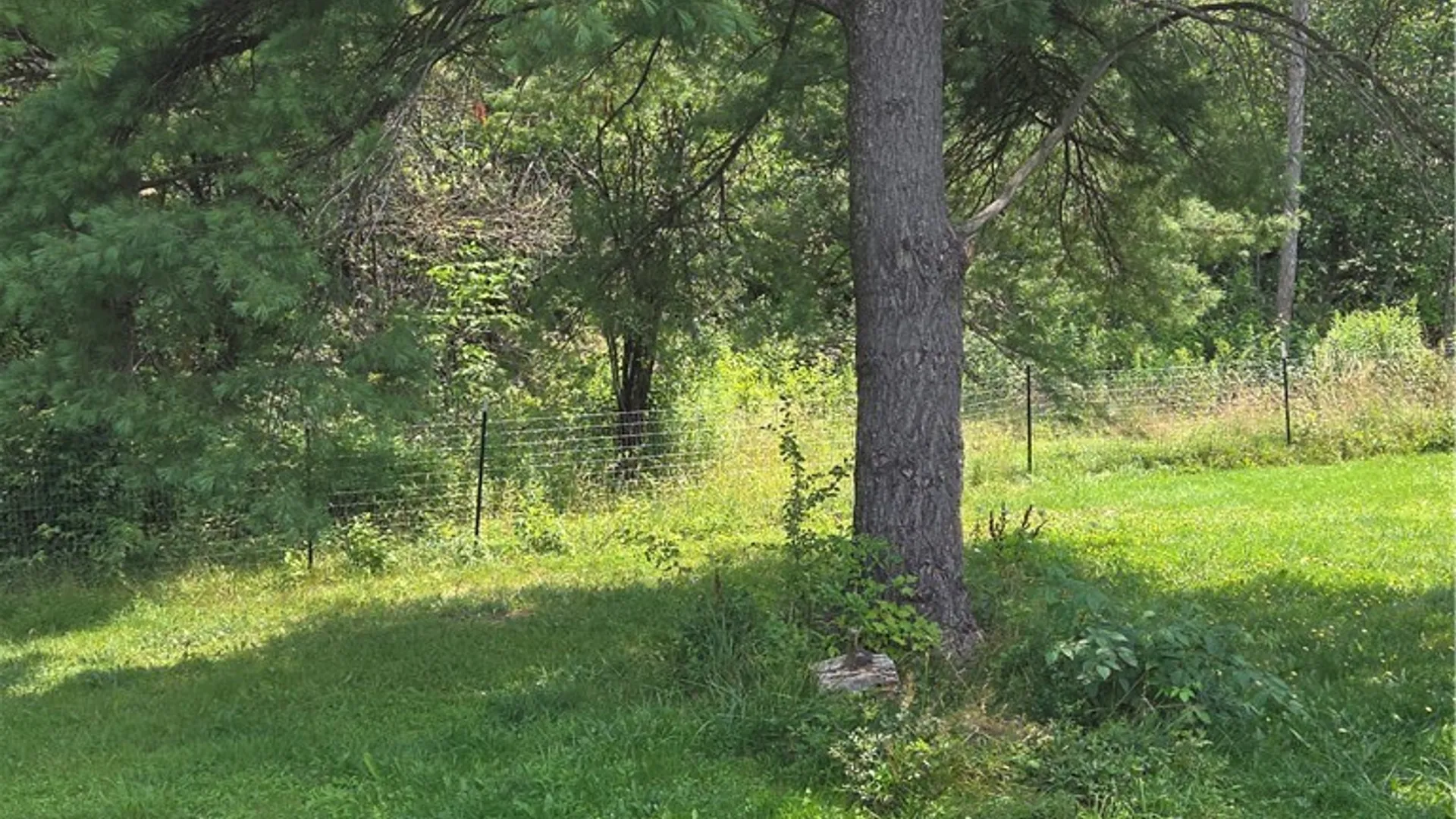 Property at 3154 County Road 2, West Almond, NY 14804 8