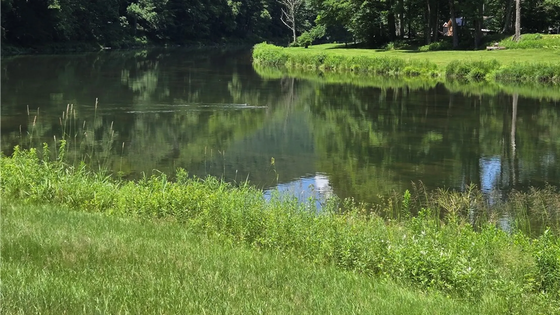 Property at 424 Bump Road, Hancock, NY 13756 4