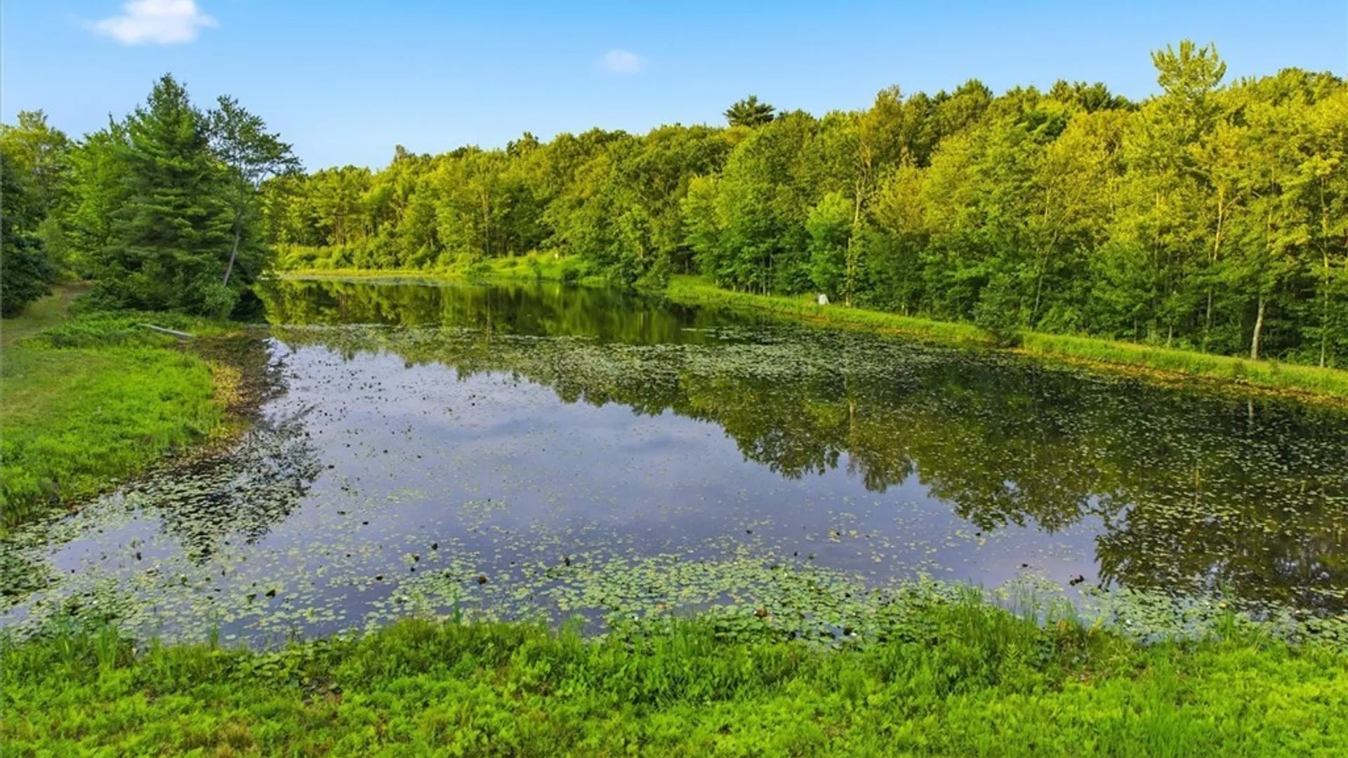 Property at 766 County Route 4, Hastings, NY 13036 9