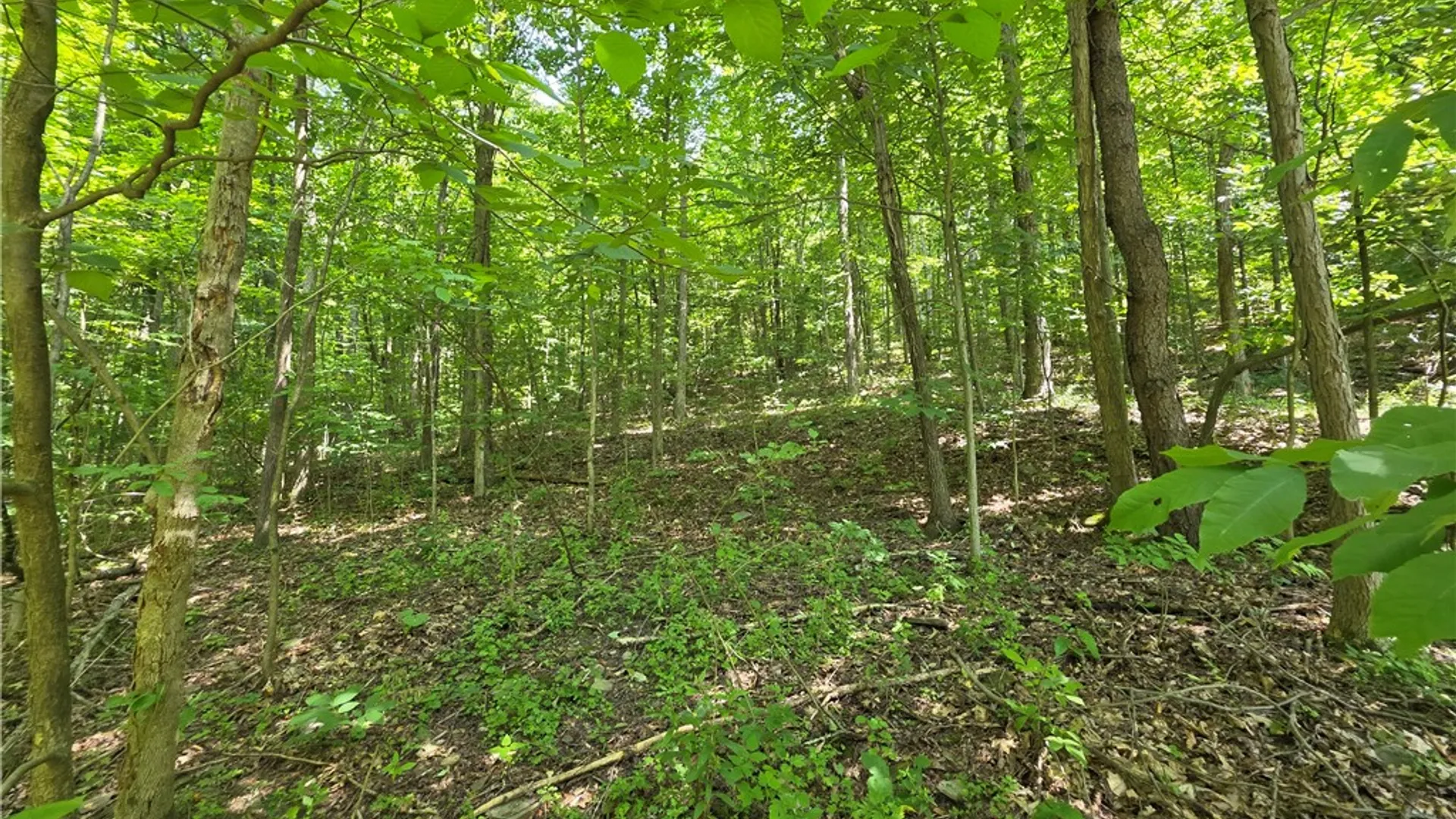 Property at 6013 County Route 119, Cameron, NY 14819 32