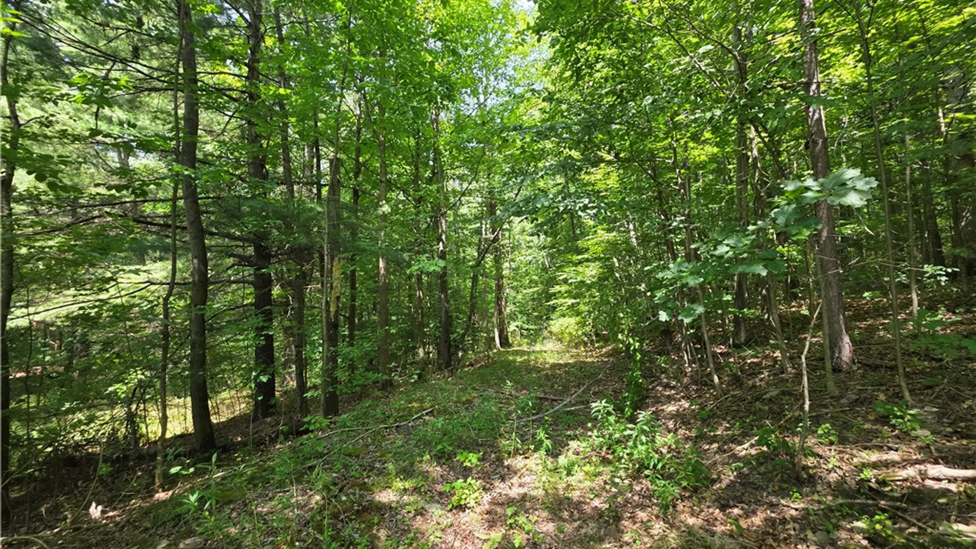 Property at 6013 County Route 119, Cameron, NY 14819 33