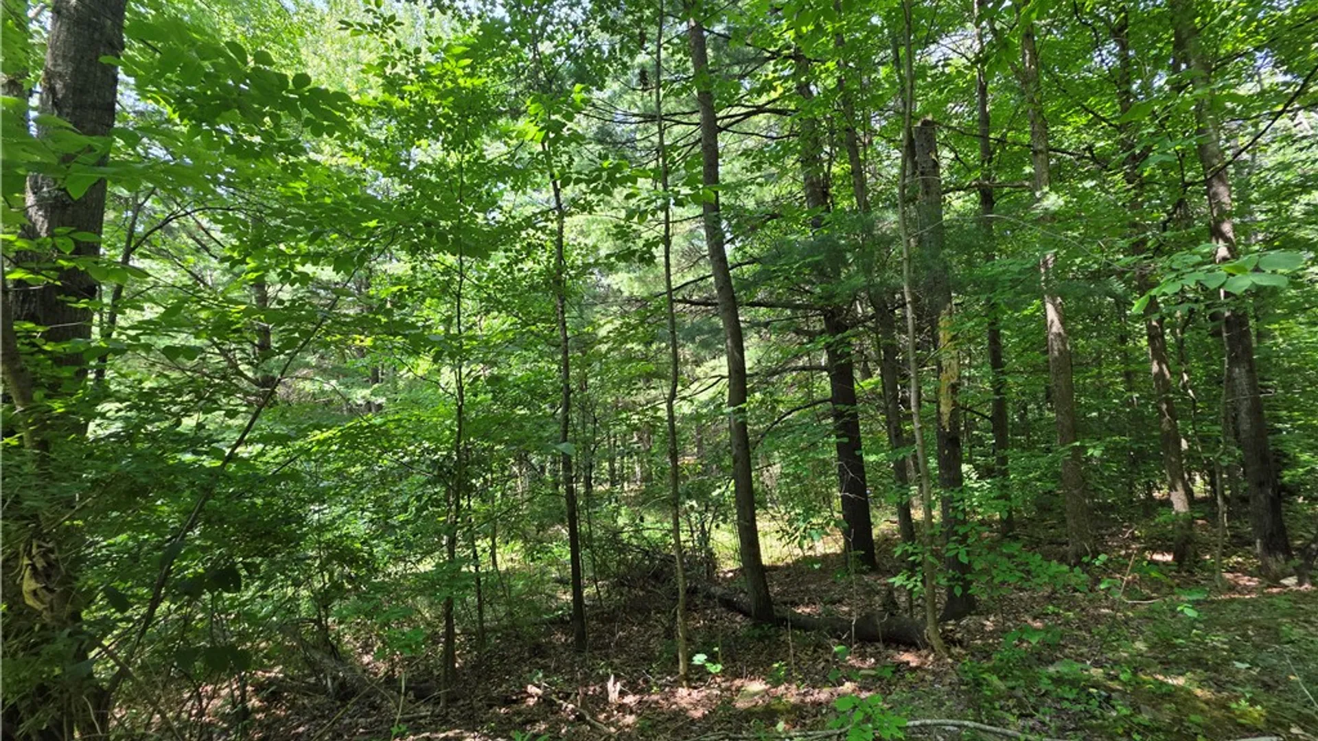 Property at 6013 County Route 119, Cameron, NY 14819 34