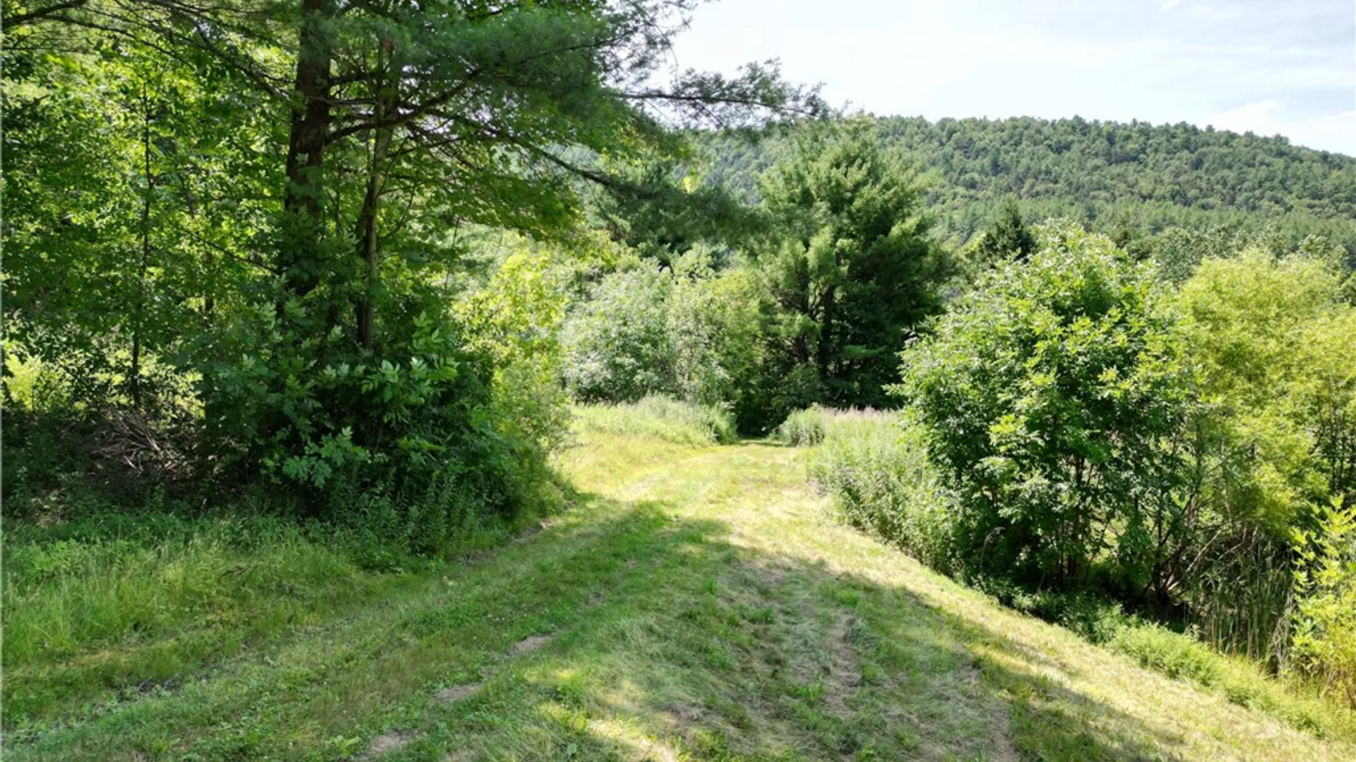 Property at 6013 County Route 119, Cameron, NY 14819 28