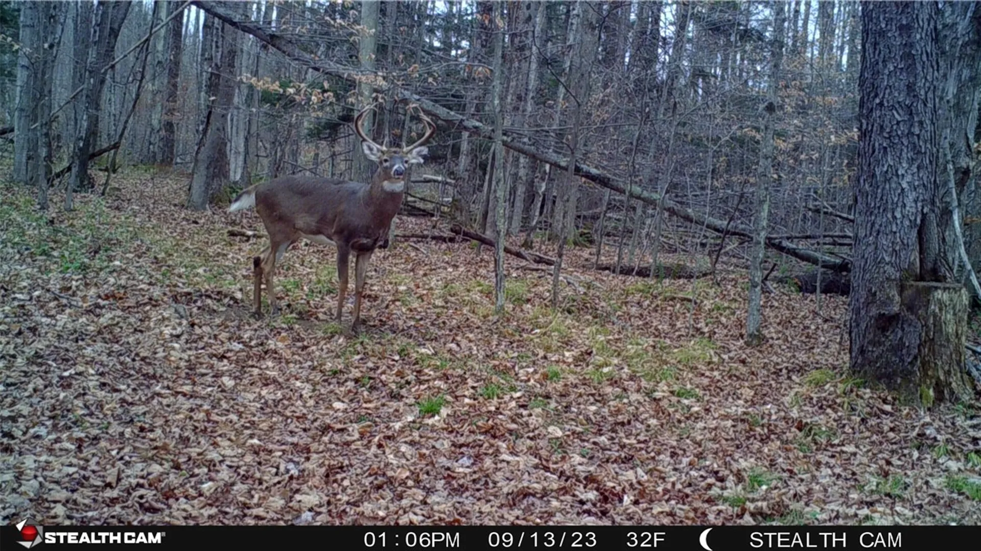 Property at 5132 County Route 25, Cameron, NY 14820 2
