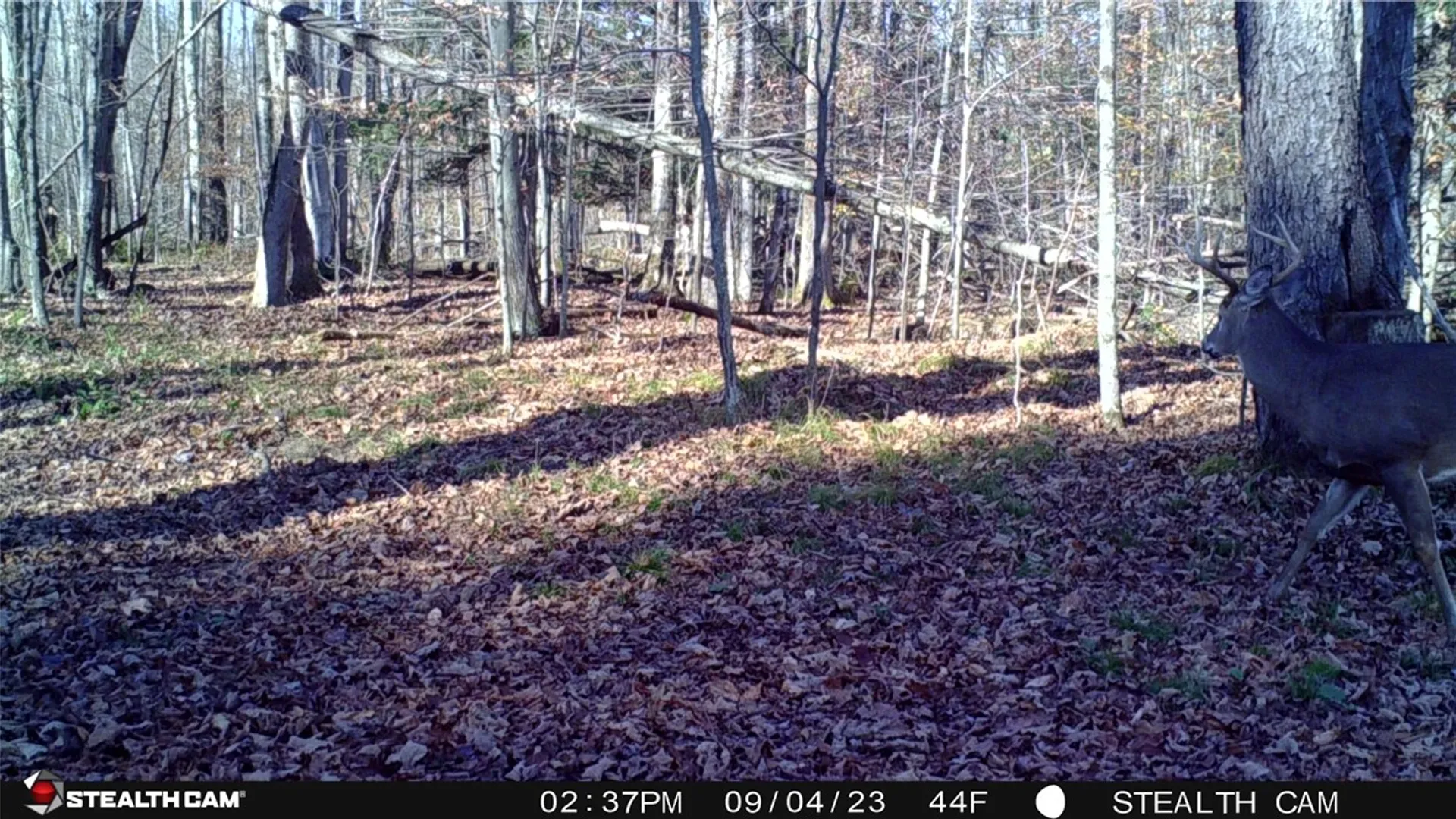 Property at 5132 County Route 25, Cameron, NY 14820 14