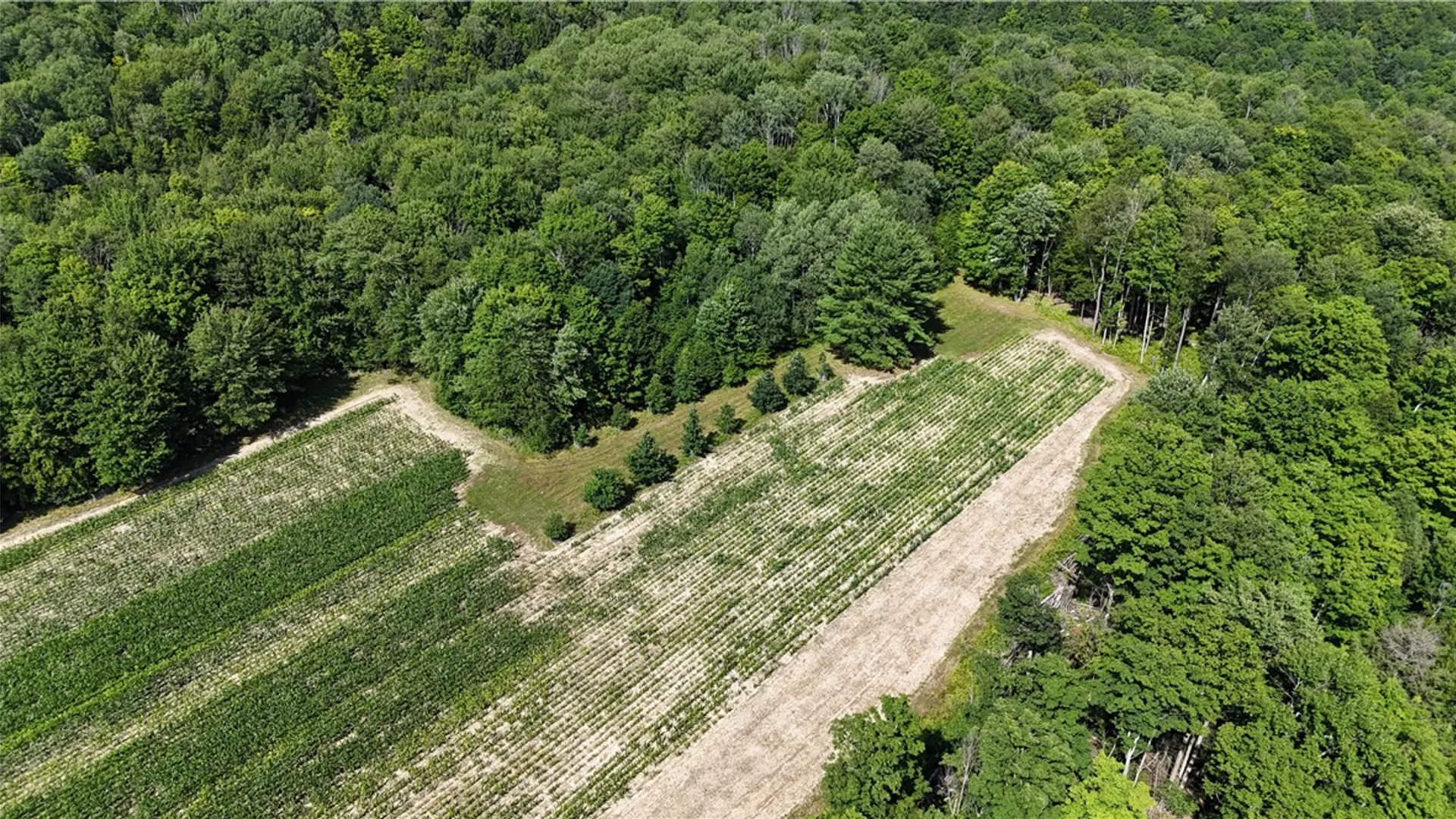 Property at 5132 County Route 25, Cameron, NY 14820 32
