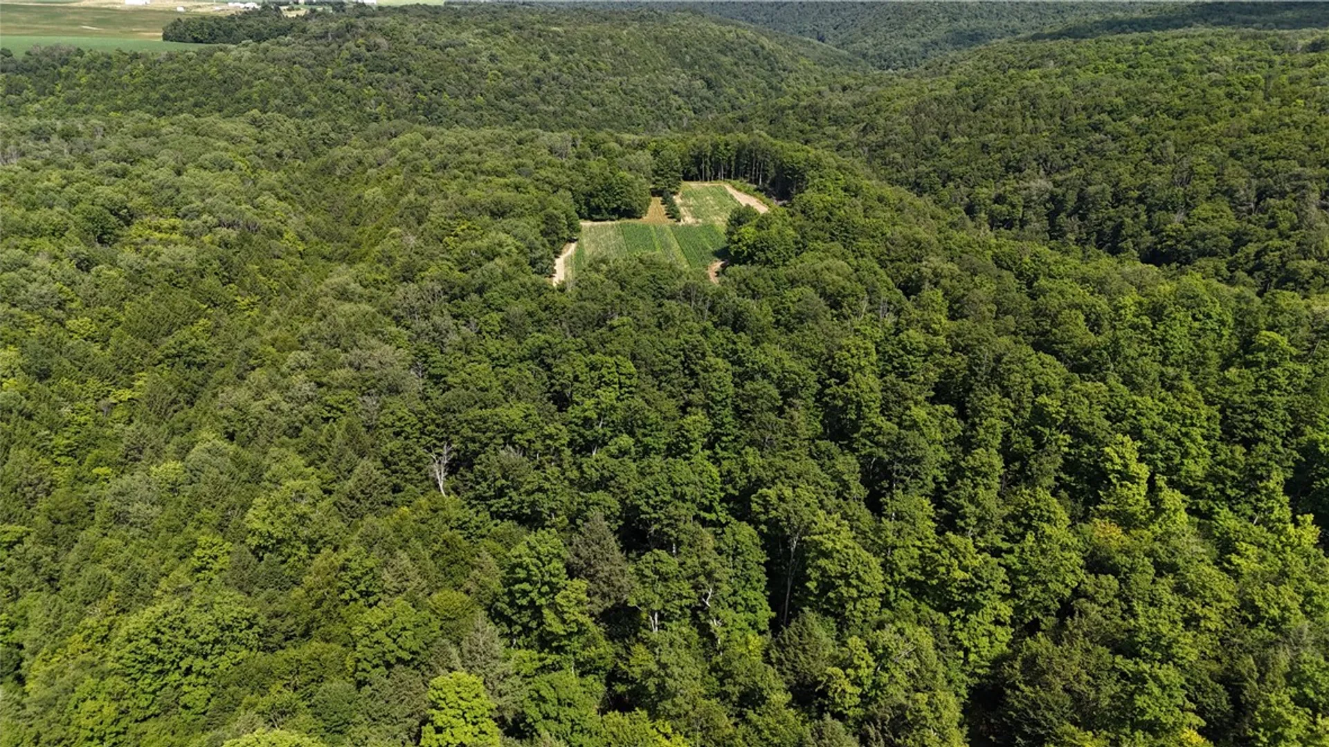 Property at 5132 County Route 25, Cameron, NY 14820 38