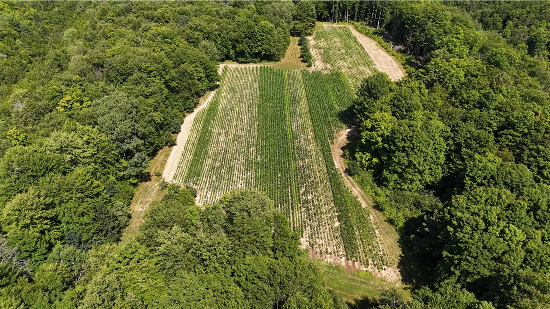 Property at 5132 County Route 25, Cameron, NY 14820 39