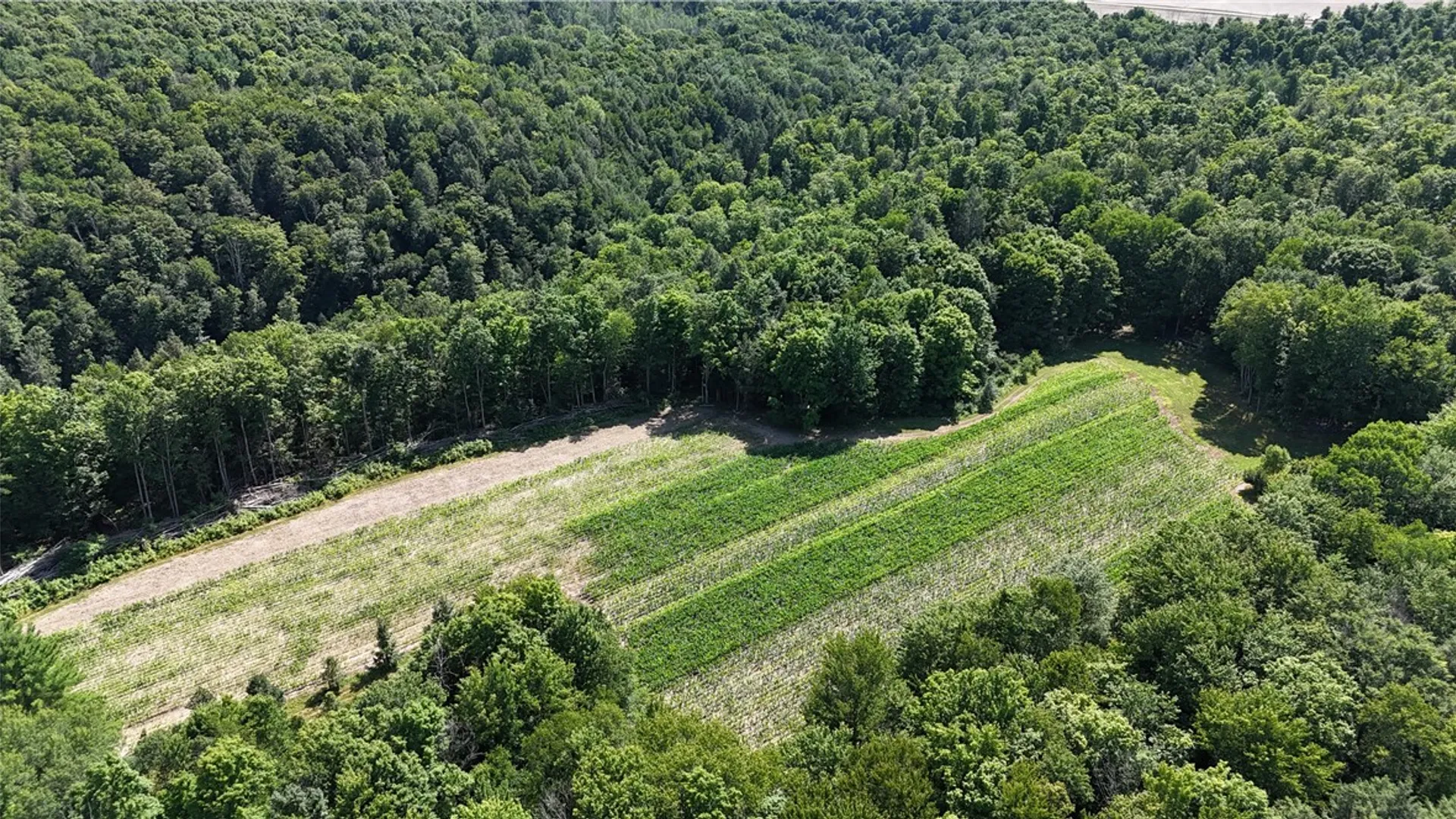 Property at 5132 County Route 25, Cameron, NY 14820 40