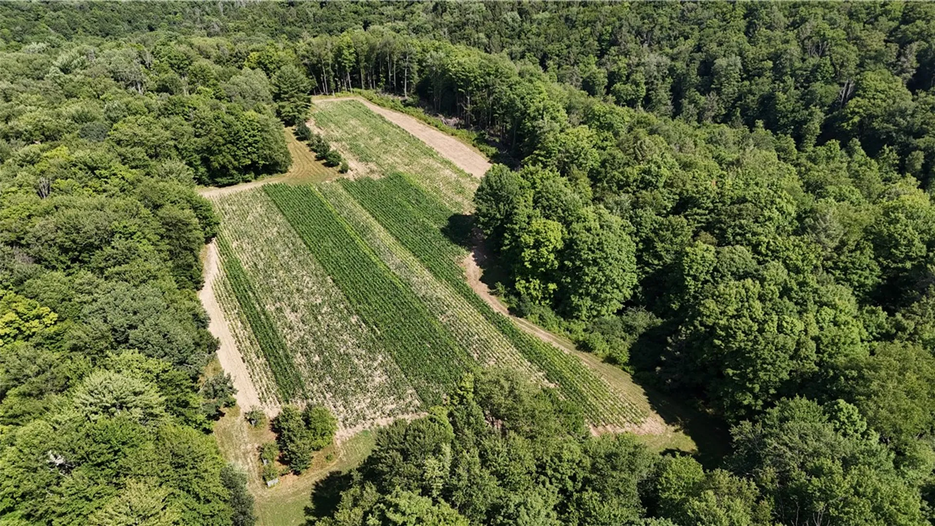 Property at 5132 County Route 25, Cameron, NY 14820 29