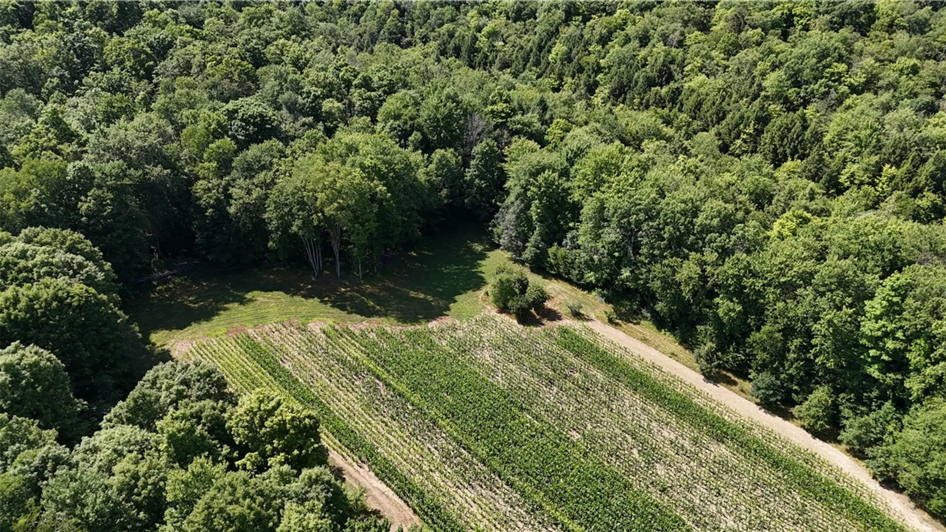 Property at 5132 County Route 25, Cameron, NY 14820 30